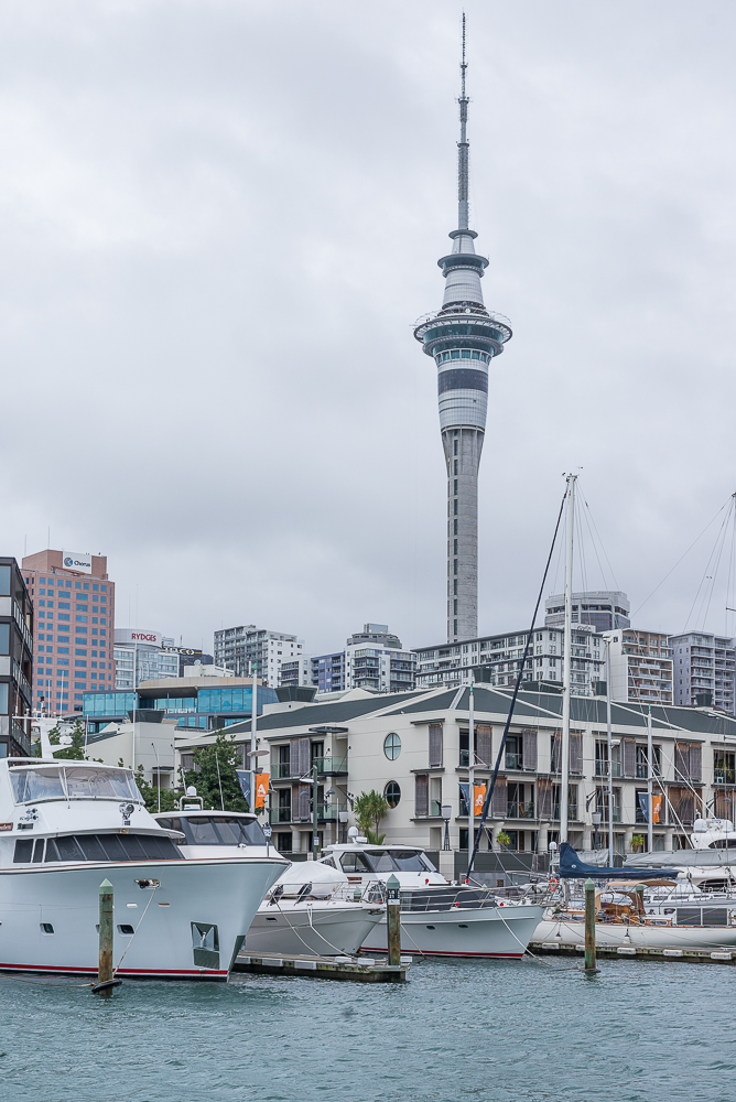 A view towards the skytower from Viaduct Harbour.jpg