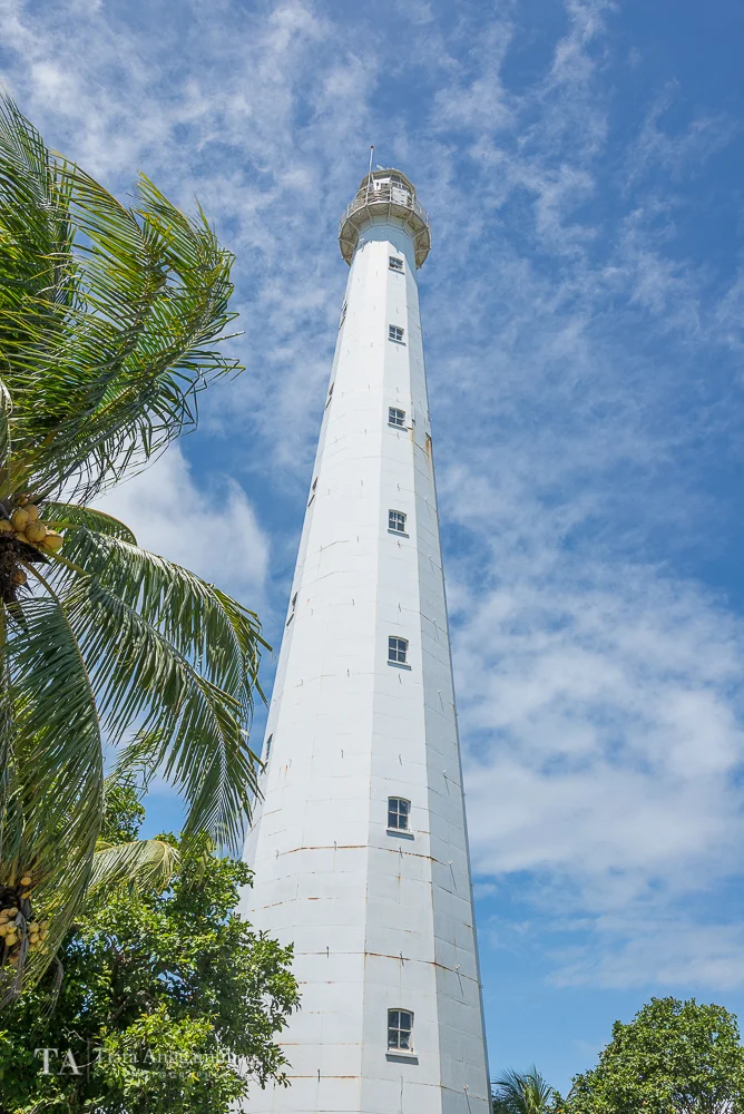 A view towards the lighthouse.