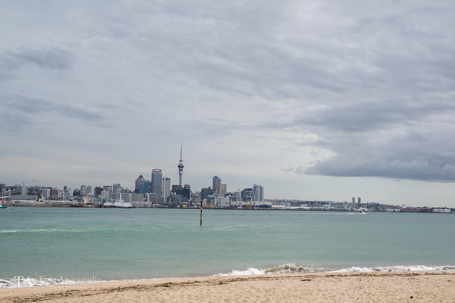 The skyline of Auckland.