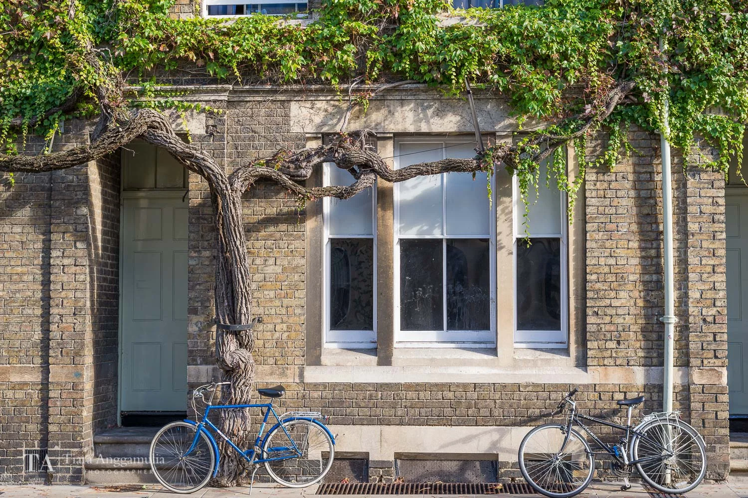 Bicycles on a street in Oxford.