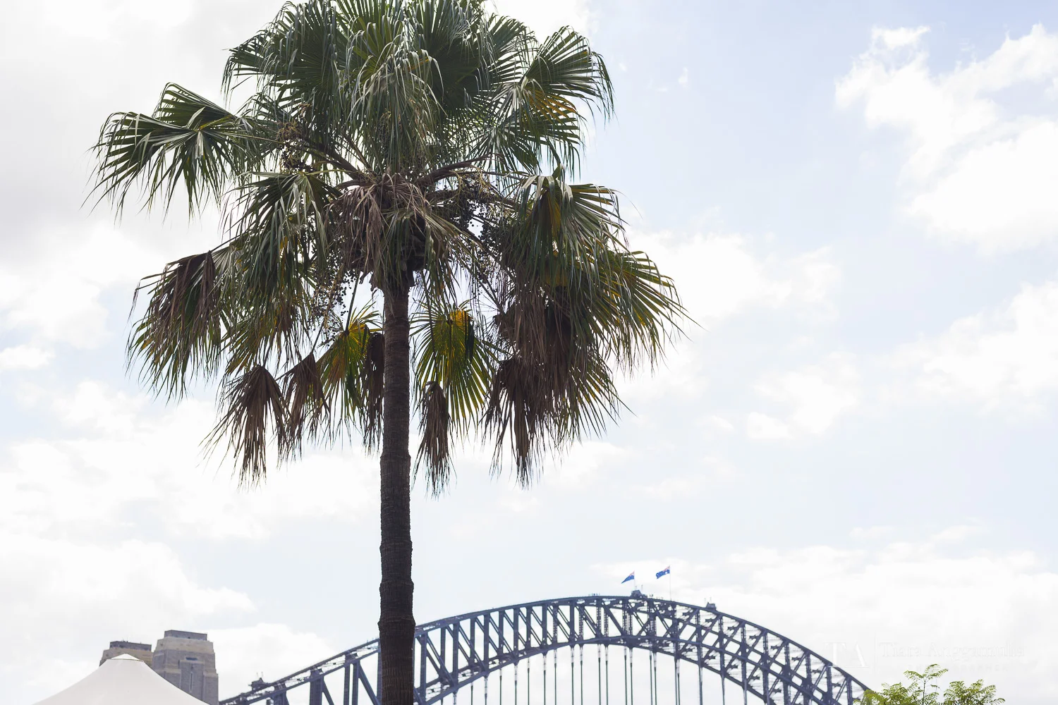 Iconic view of Sydney Harbour Bridge.