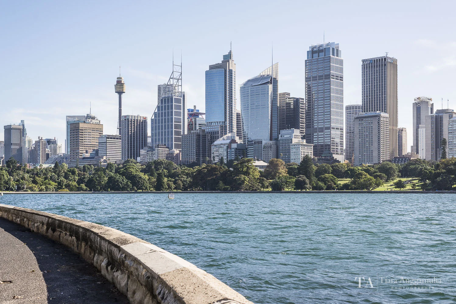 The Sydney skyline.