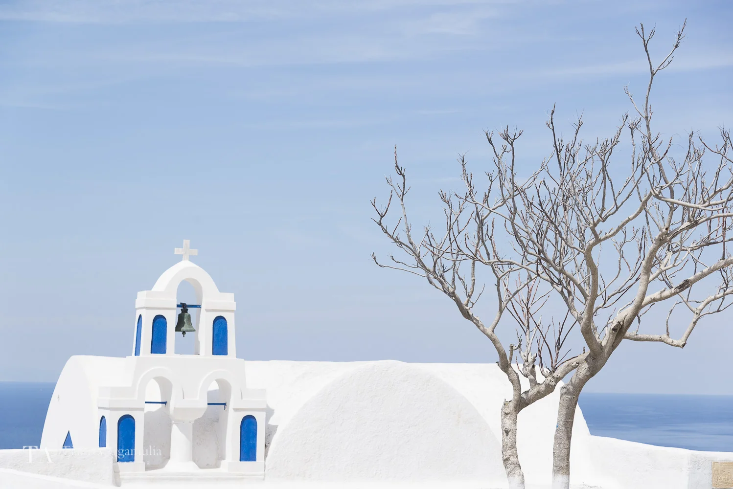 Pretty details in Oia village.