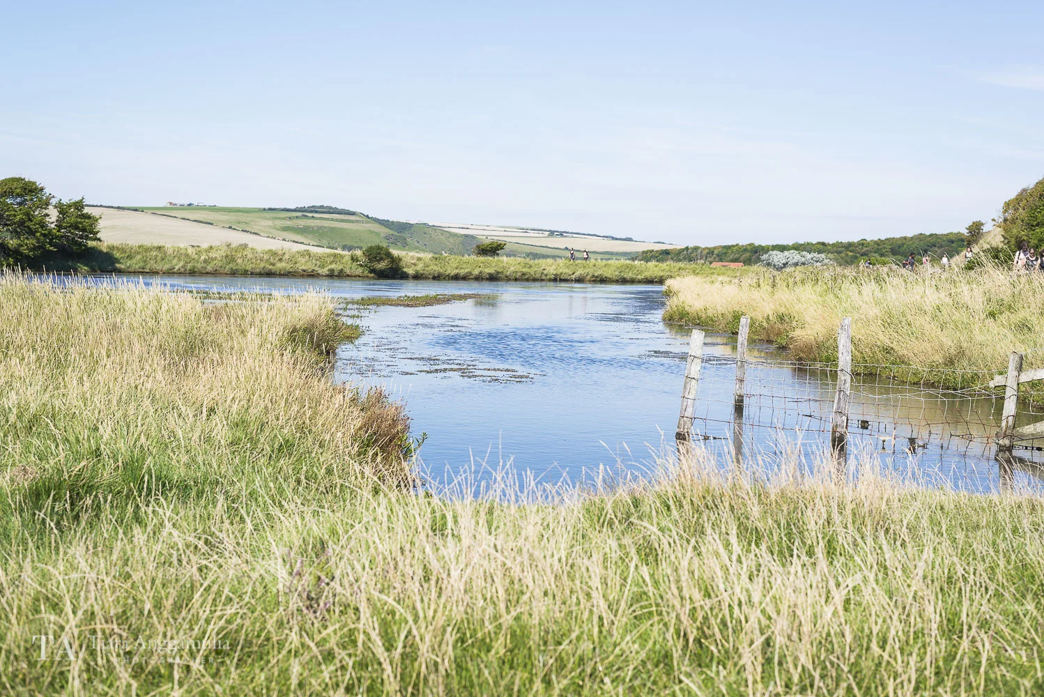 A view towards the South Downs Way.