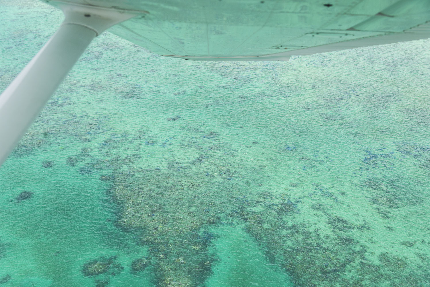 Great Barrier Reef 2.jpg