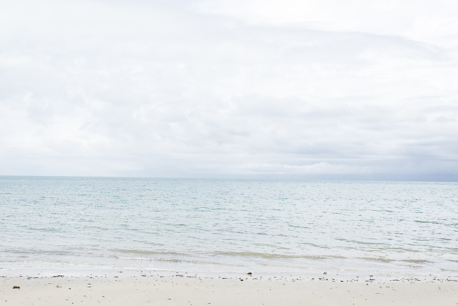 Cape Tribulation 2.jpg