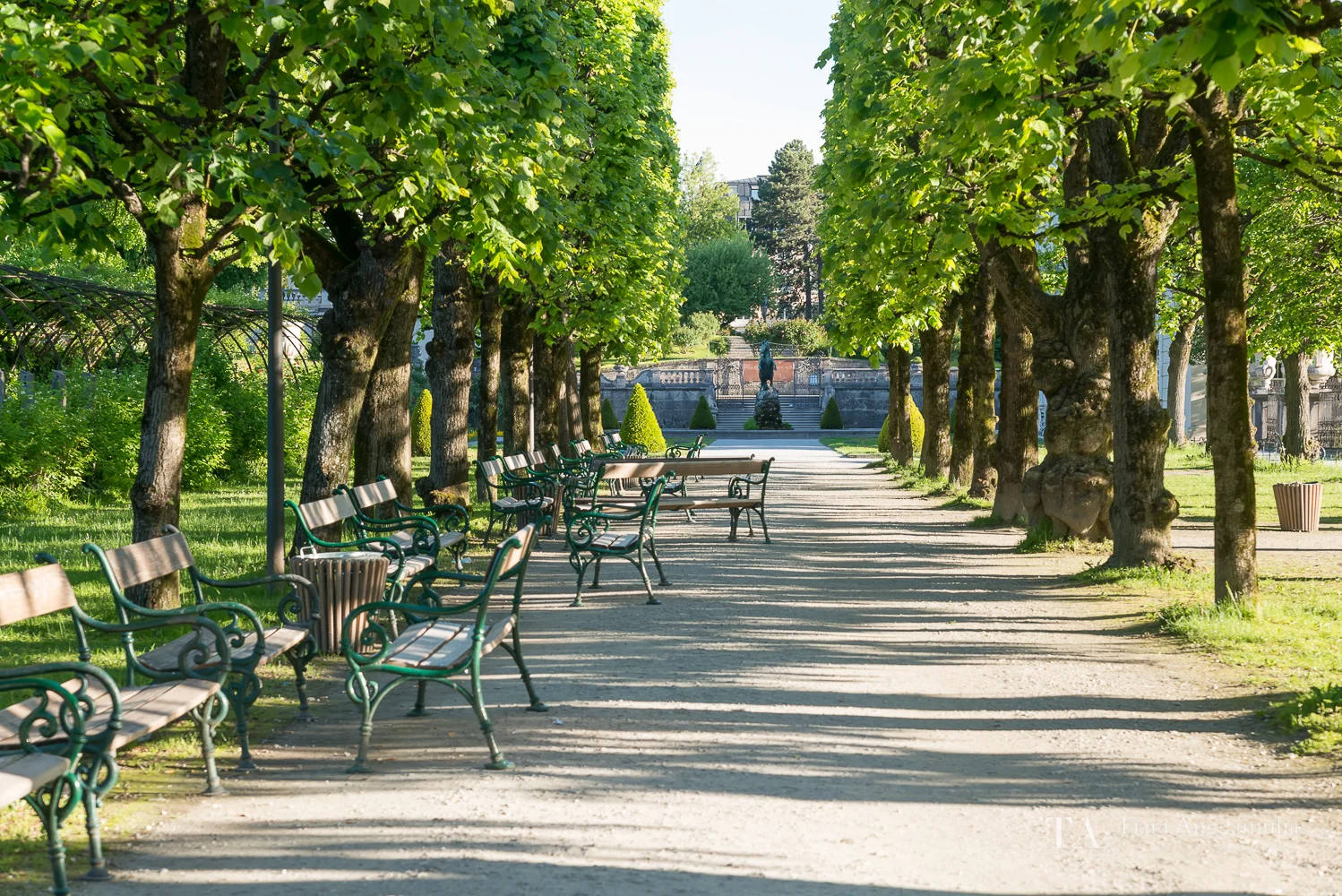 Morning light in Mirabell Garden.