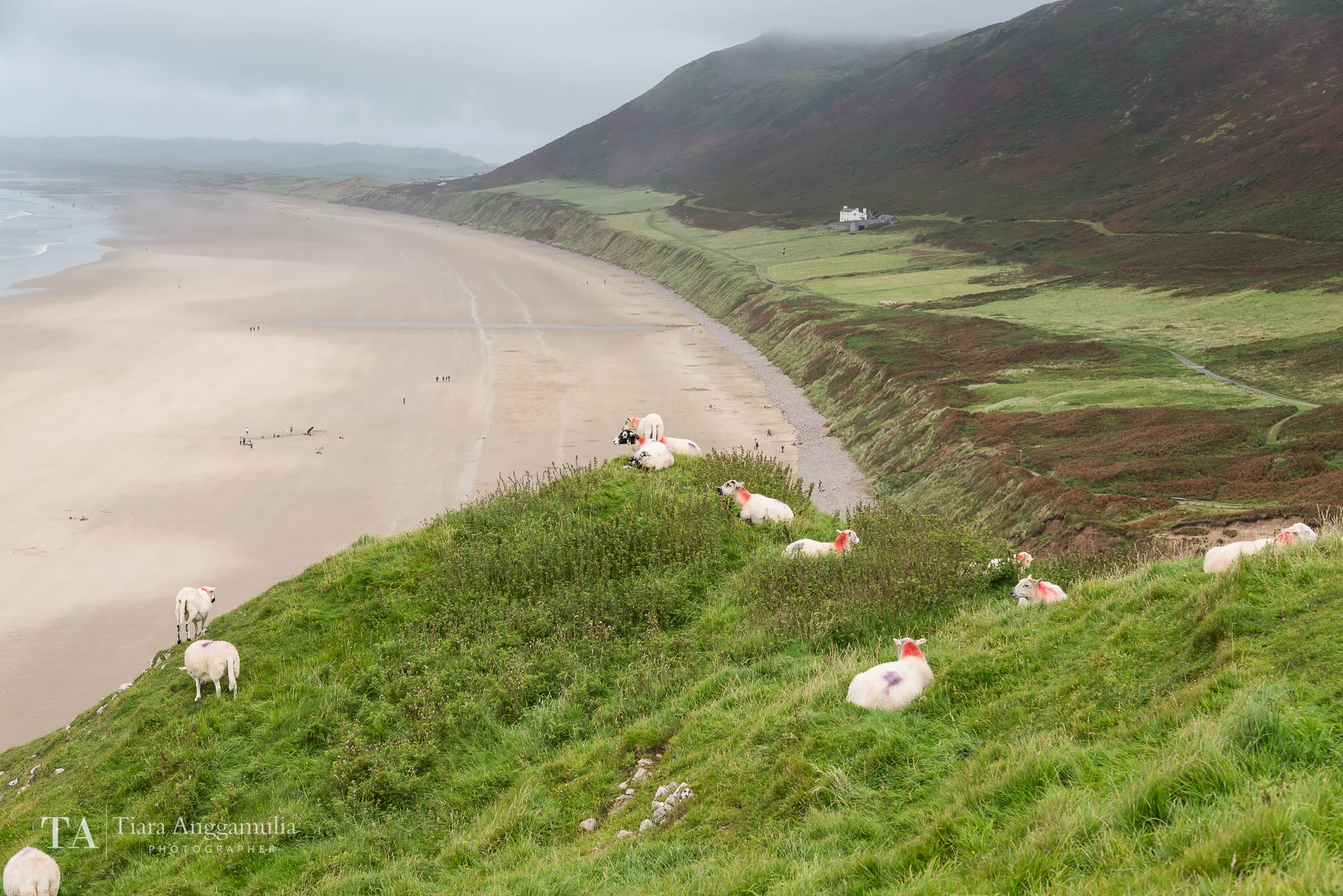 Wales 05.jpg