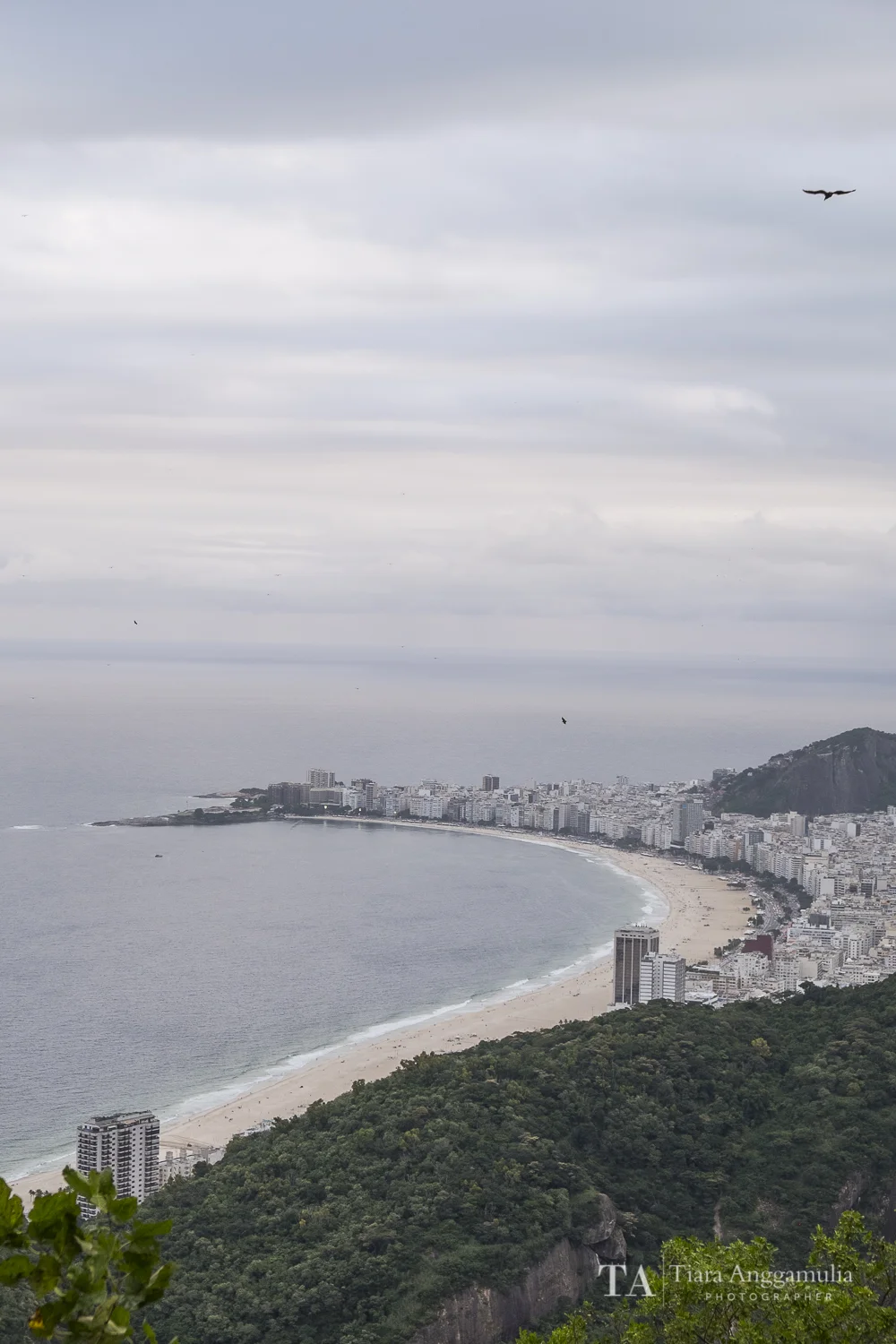 Rio 004.jpg
