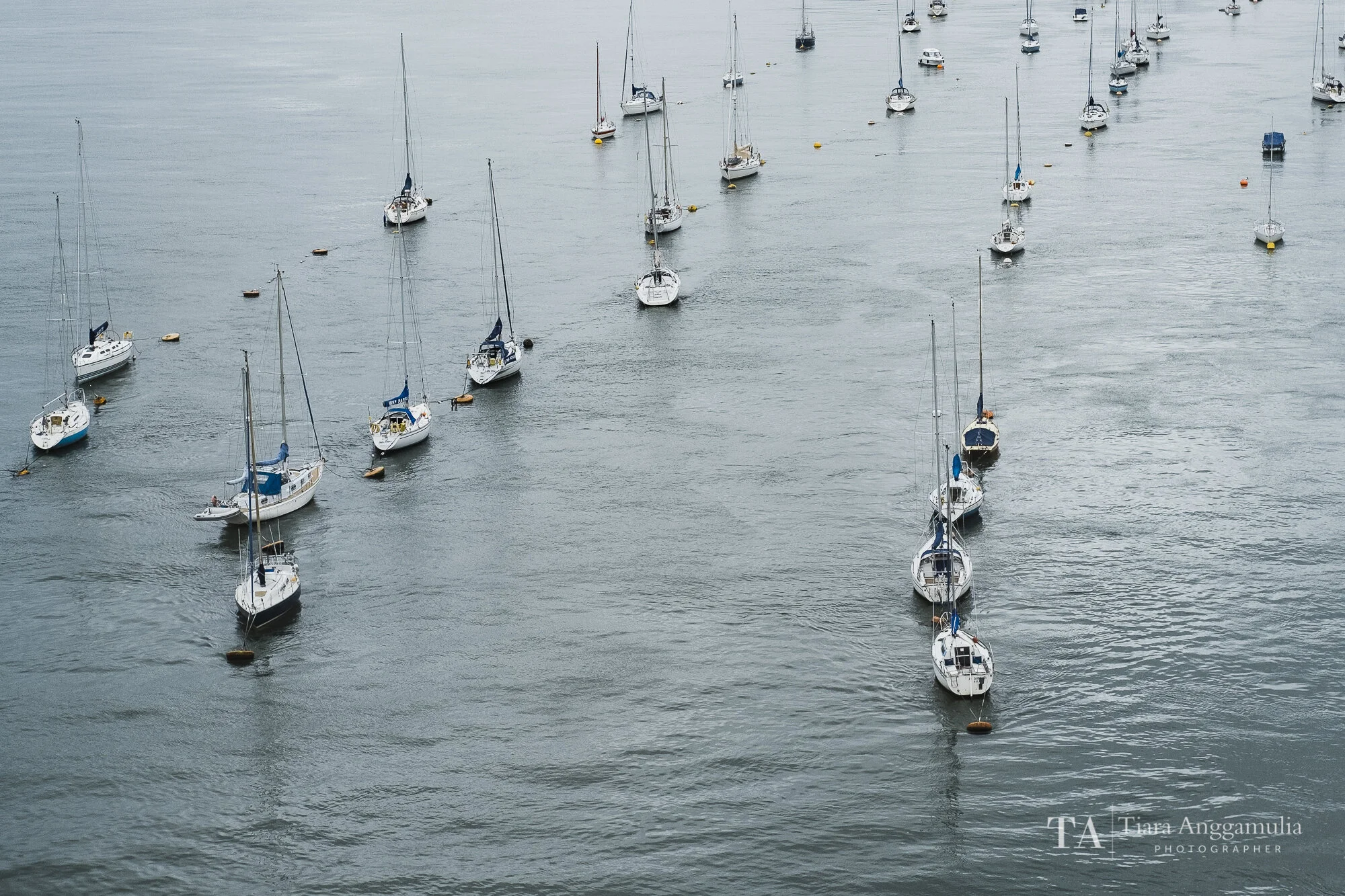 River Tamar, Cornwall