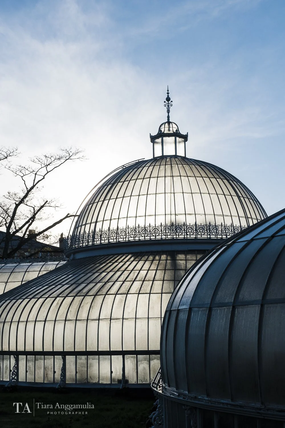 Glasgow Botanic Gardens Part 1
