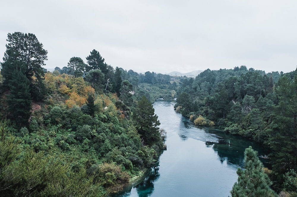 Turquoise water, peaceful, lush. This river walk path is truly a joy to explore. The path meanders along the Waikato River with gentle inclines. In early autumn the trees started changing colours too. &thinsp;
&thinsp;
&thinsp;
&thinsp;
#MightyWaikat