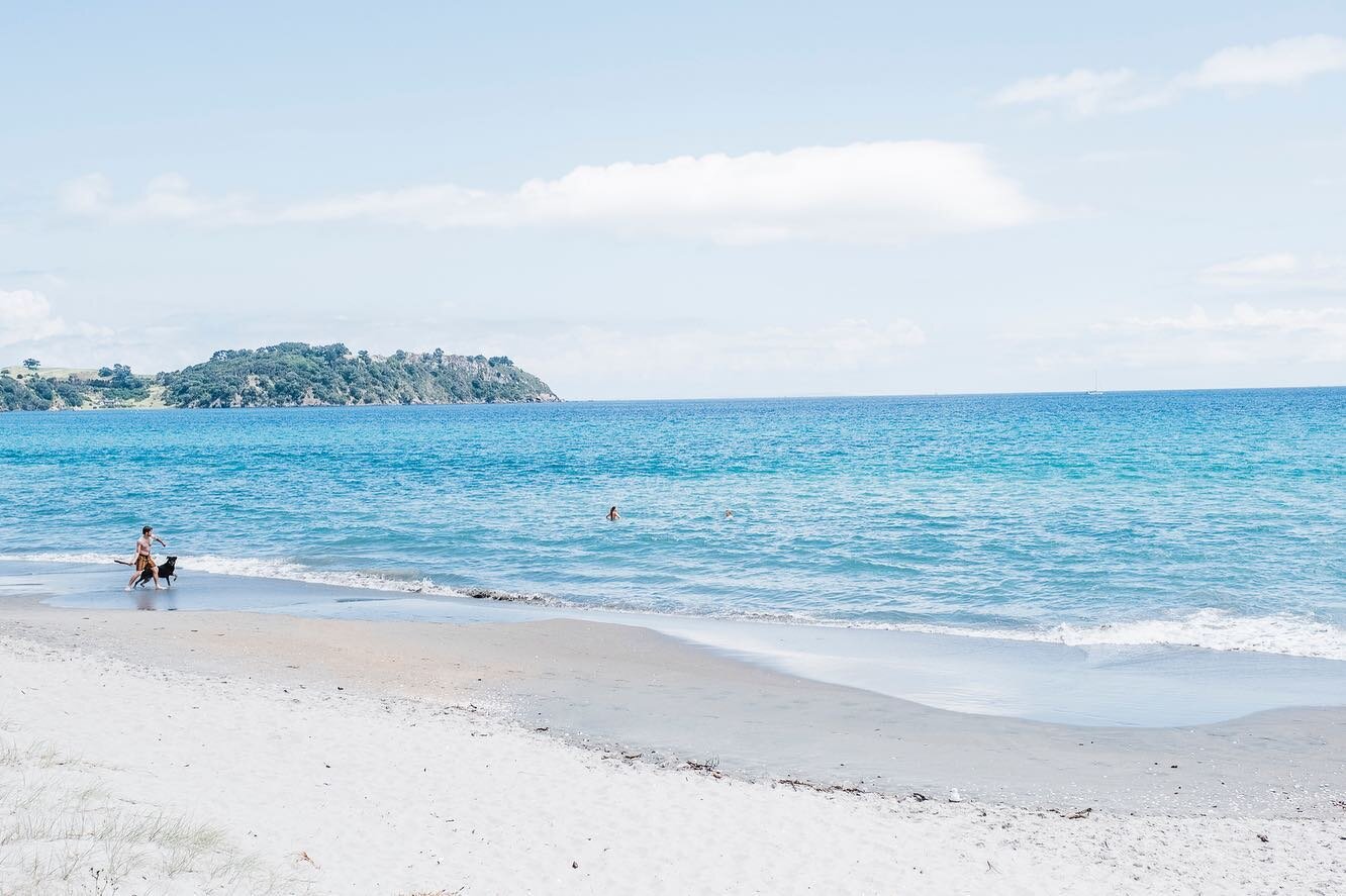 Spending the Christmas Bank Holiday in this laid back, relaxing sandy beach with the perfect summer weather 🌊🌤️😎&thinsp;
&thinsp;
&thinsp;
@waiheke.world #nzfinds #NZMustDo #IfYouSeekNZ #YourWaterFront #NZimagery #DoSomethingNewNZ @purenewzealand