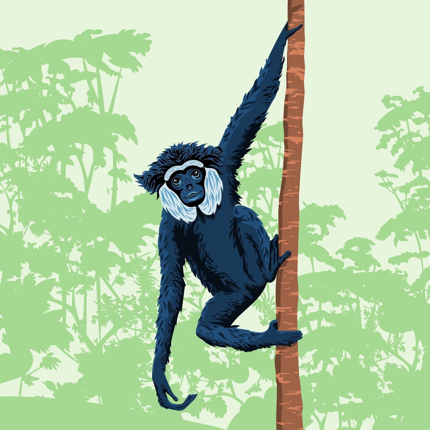 It's National Wildlife Day! This is the Agile Gibbon, a primate found in southeast Asia that is endangered due to habitat destruction and the illegal pet trade. I love these primates because of their funny little sideburns that make them look like an