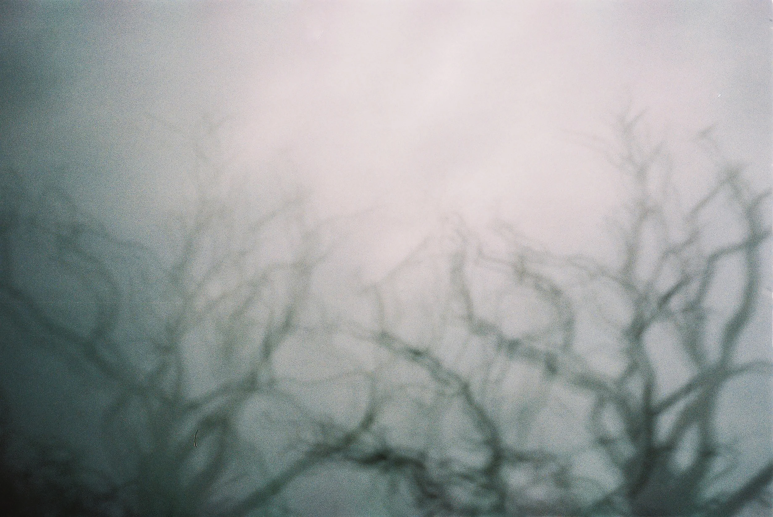CNV00020.jpg