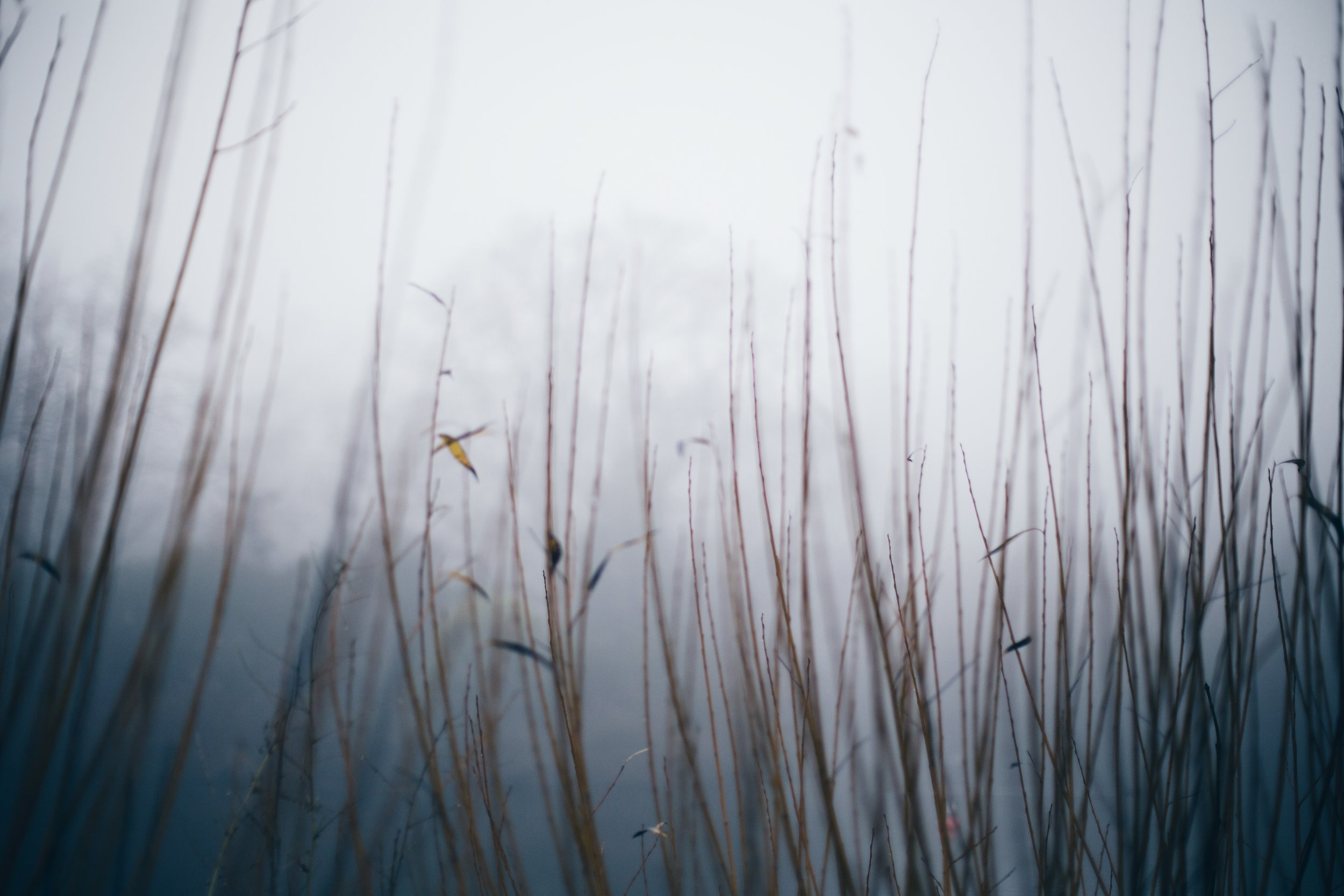 Crystal Palace mist