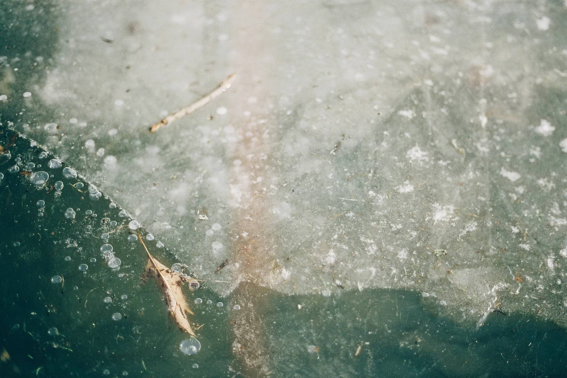 2017-05-15 02.05.31 1.jpg