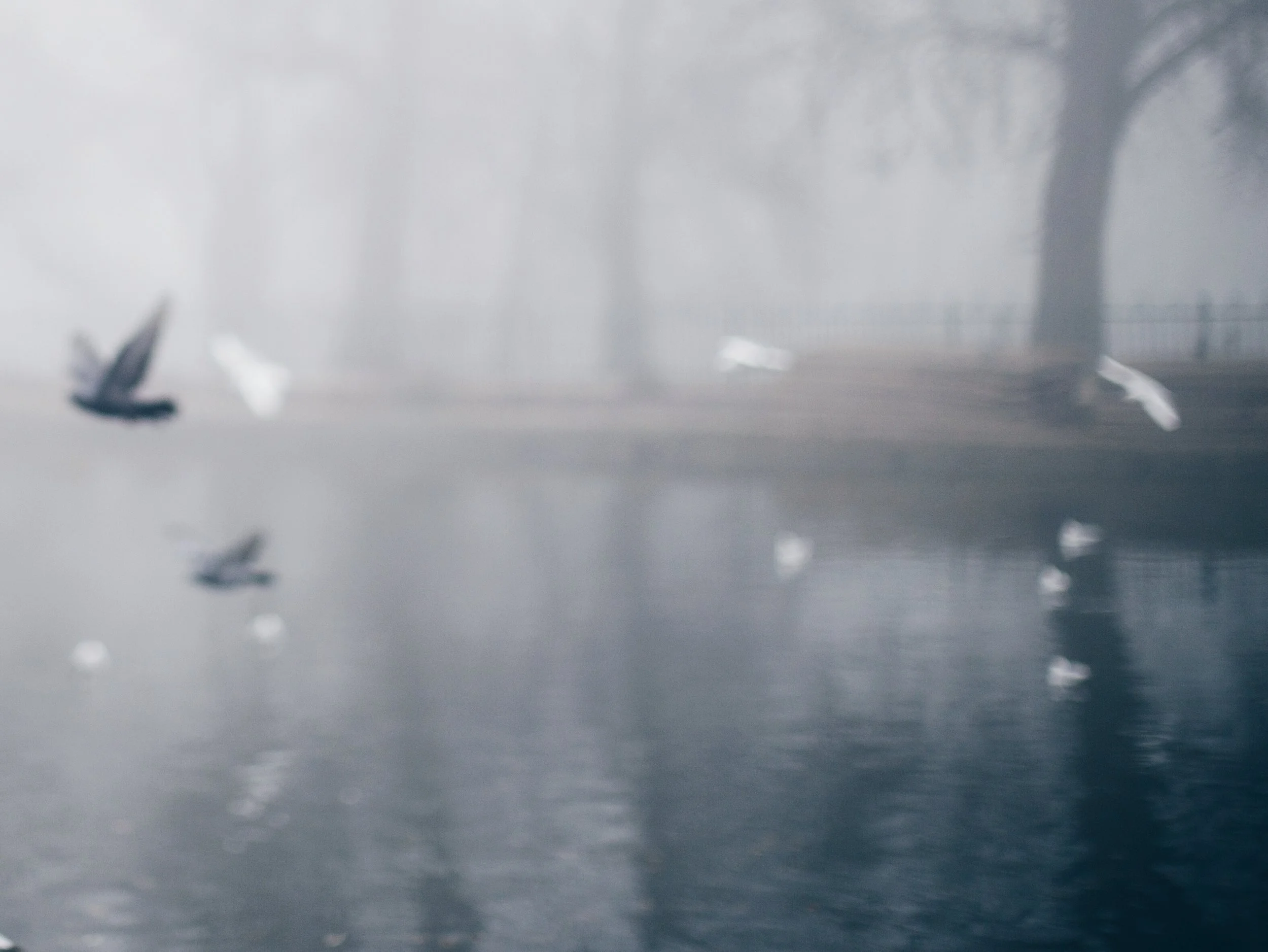 2016-12-17 01.06.40 1.jpg