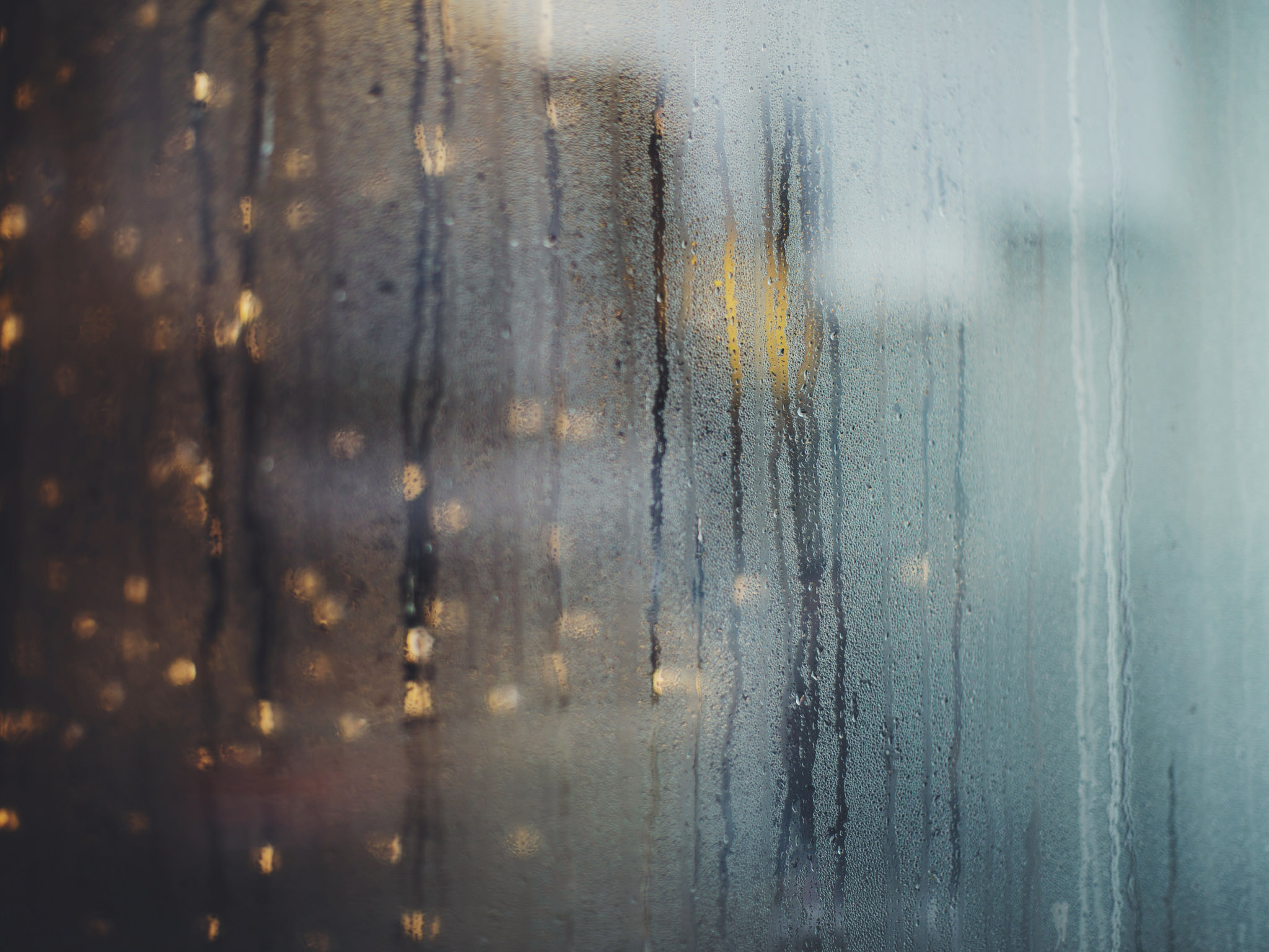 31100982976_4d641eb27f_k (1).jpg