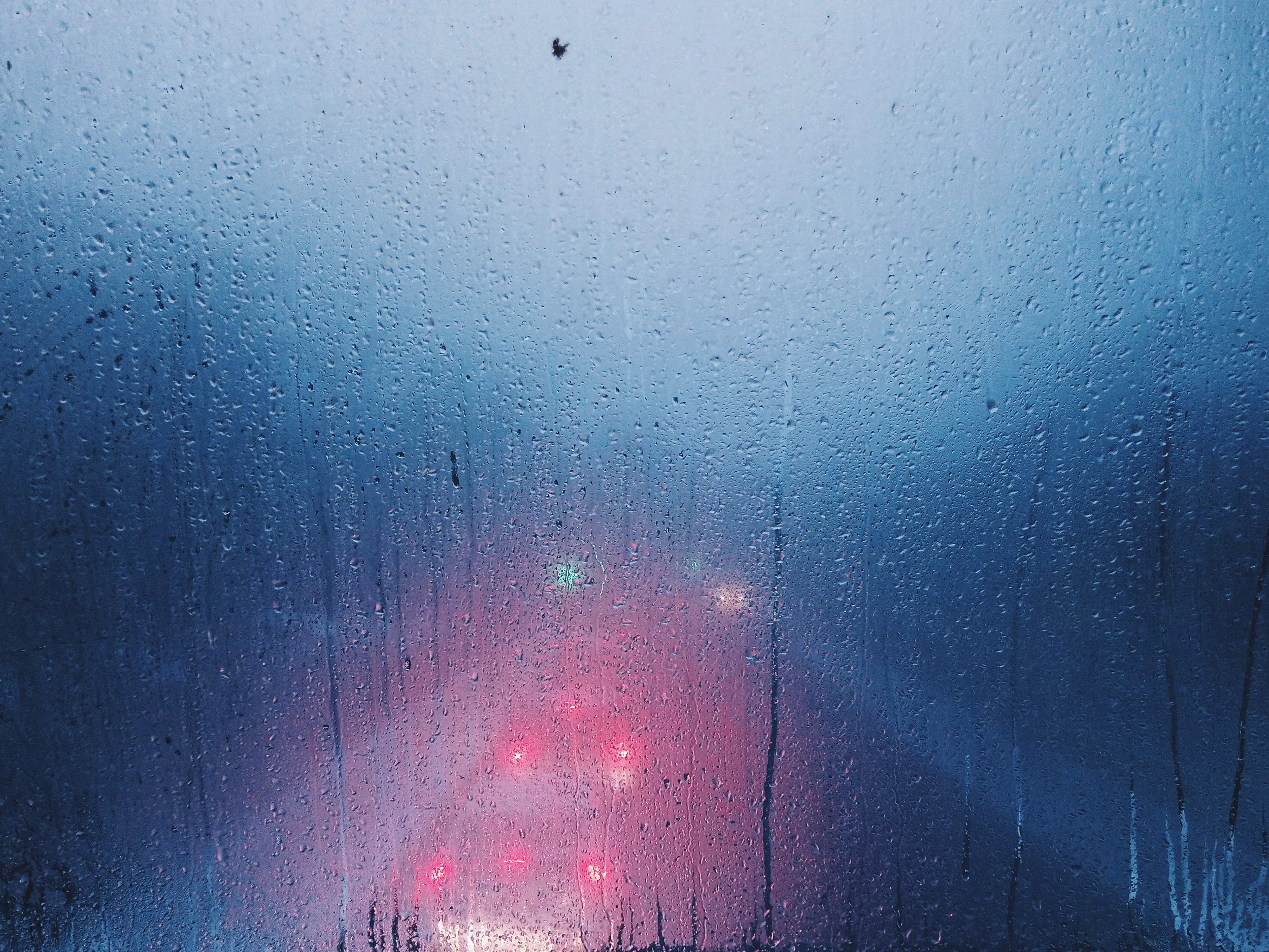 2018-03-02 05.41.47 1.jpg