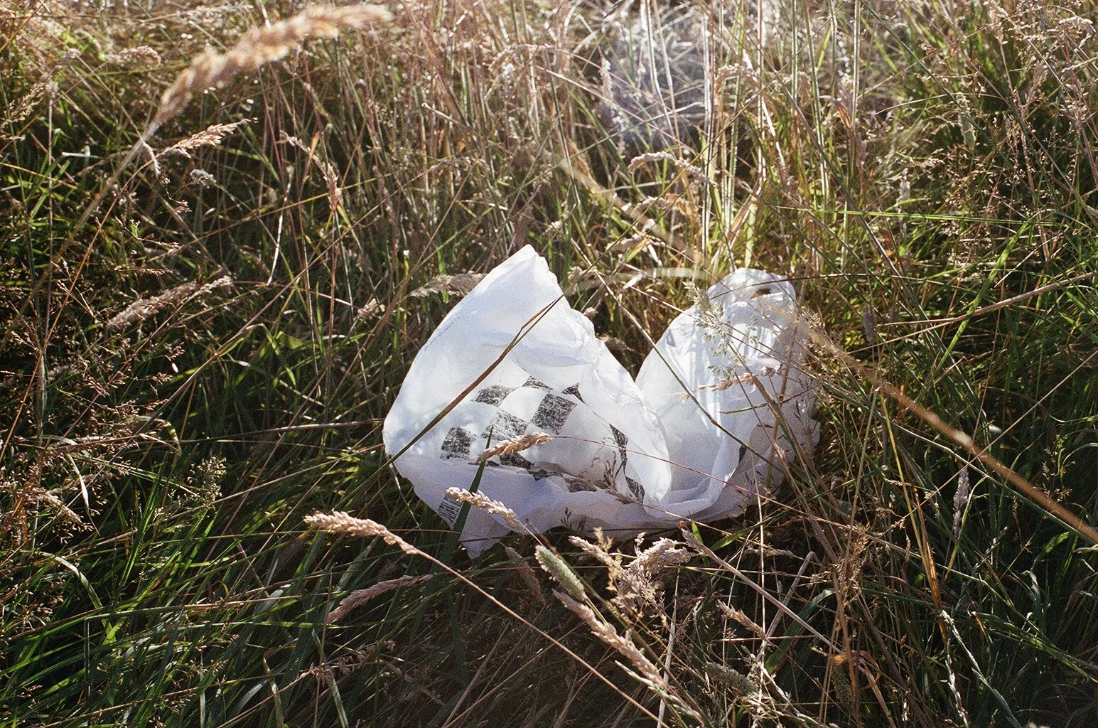 12020019.jpg