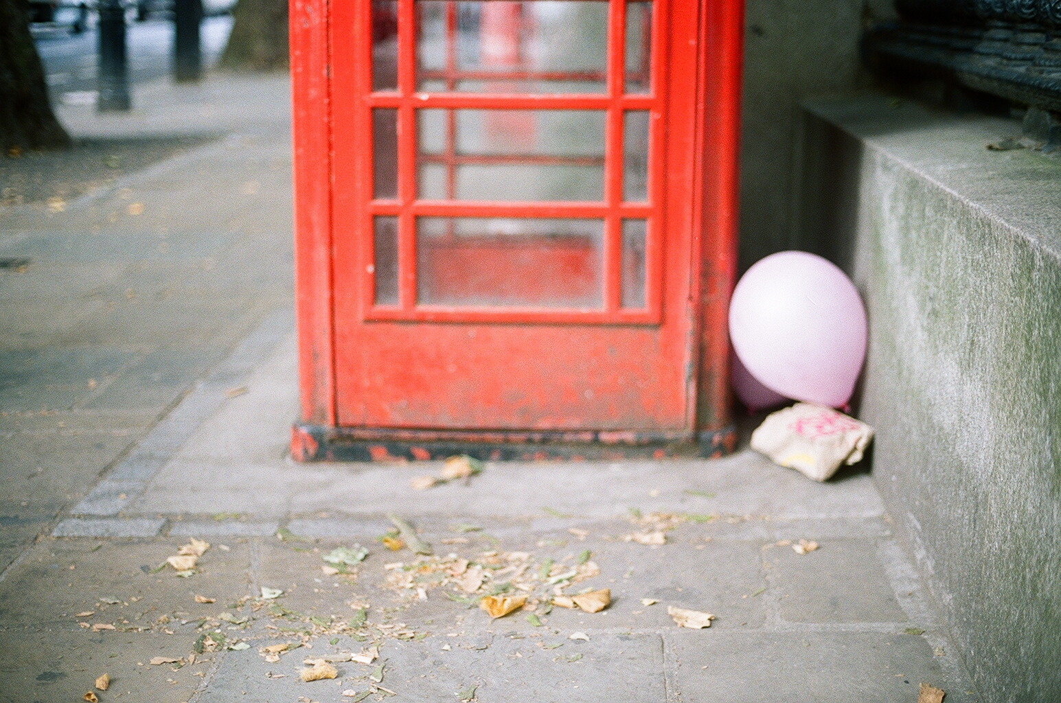 12020030.jpg