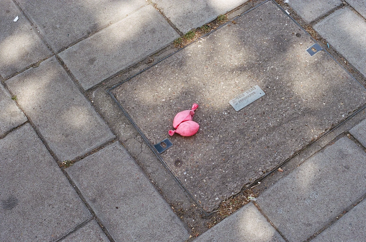 12020020.jpg