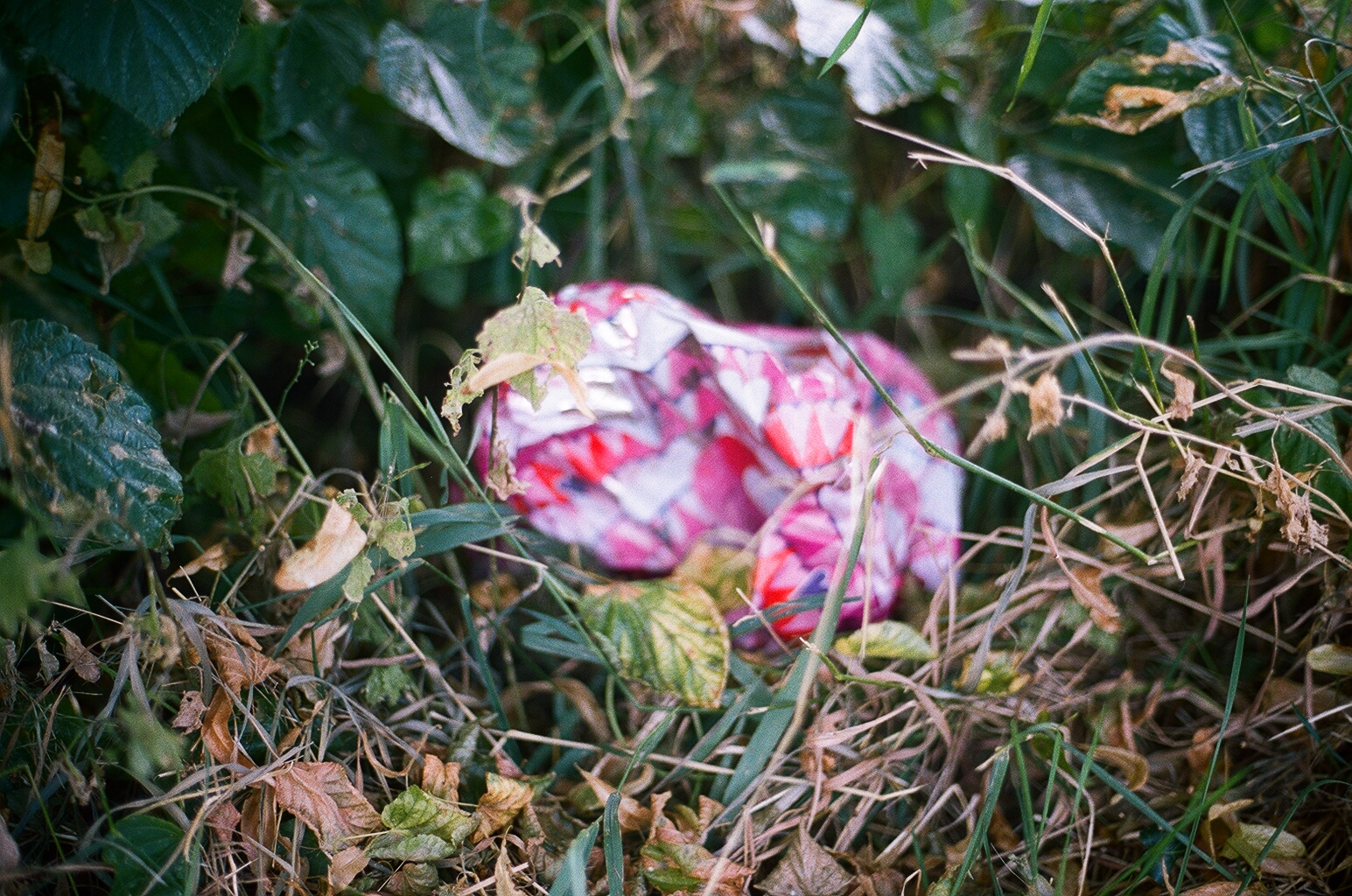 12020028.jpg