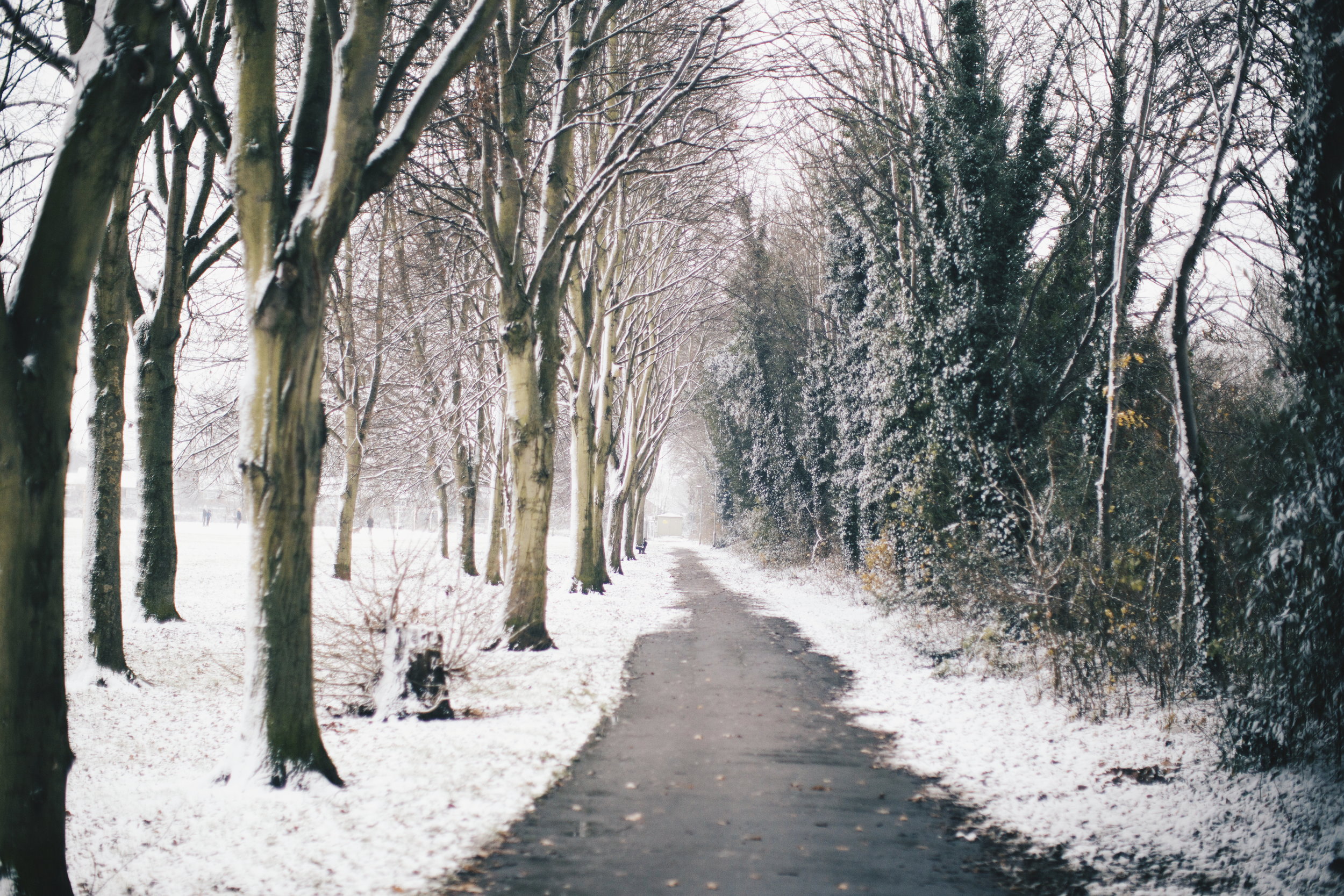 2017-12-10 08.05.21 1.jpg