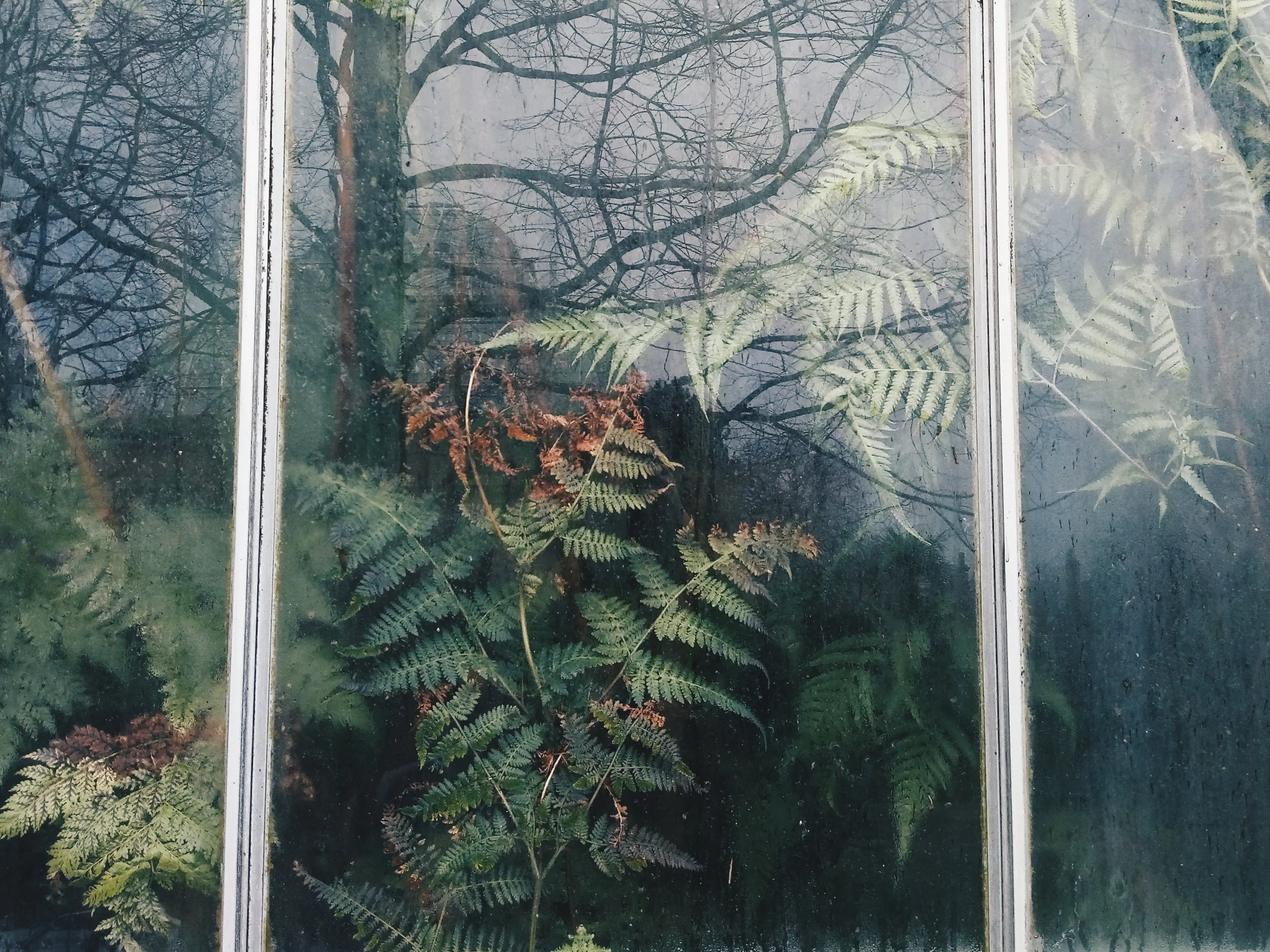 1970-01-01 01.00.00 126.jpg