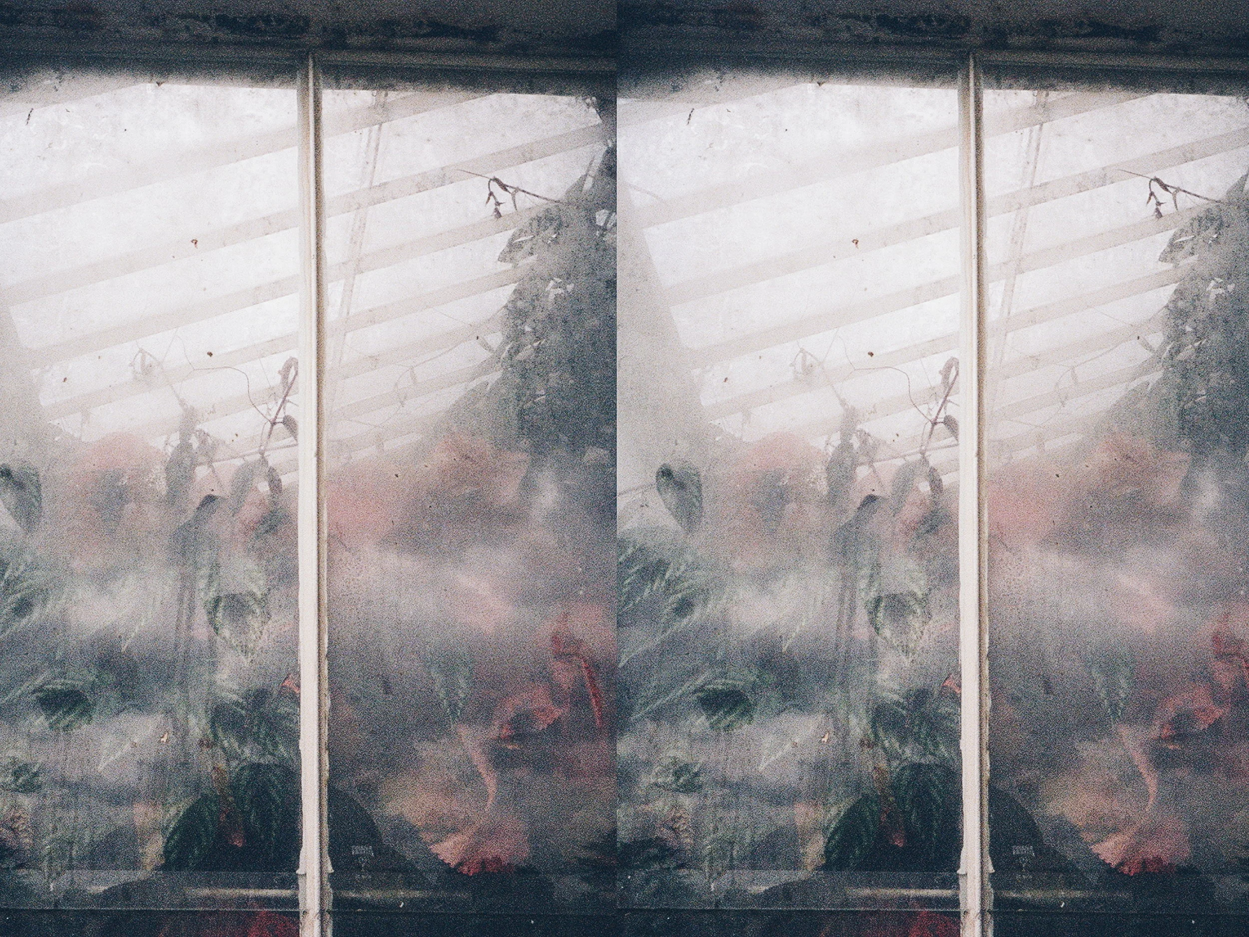 2018-10-05 10.10.25 2.jpg