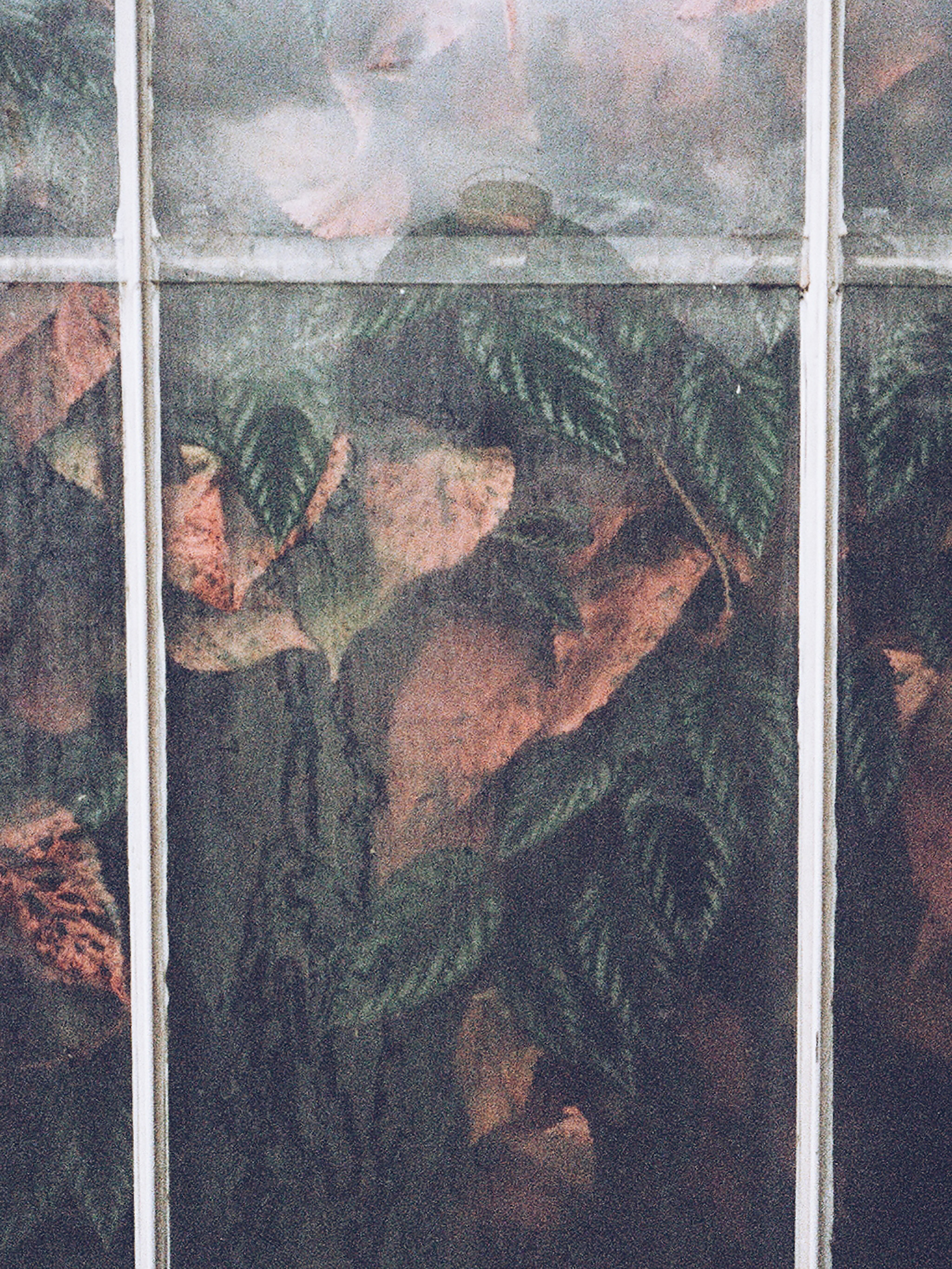 2018-11-25 04.40.09 1.jpg