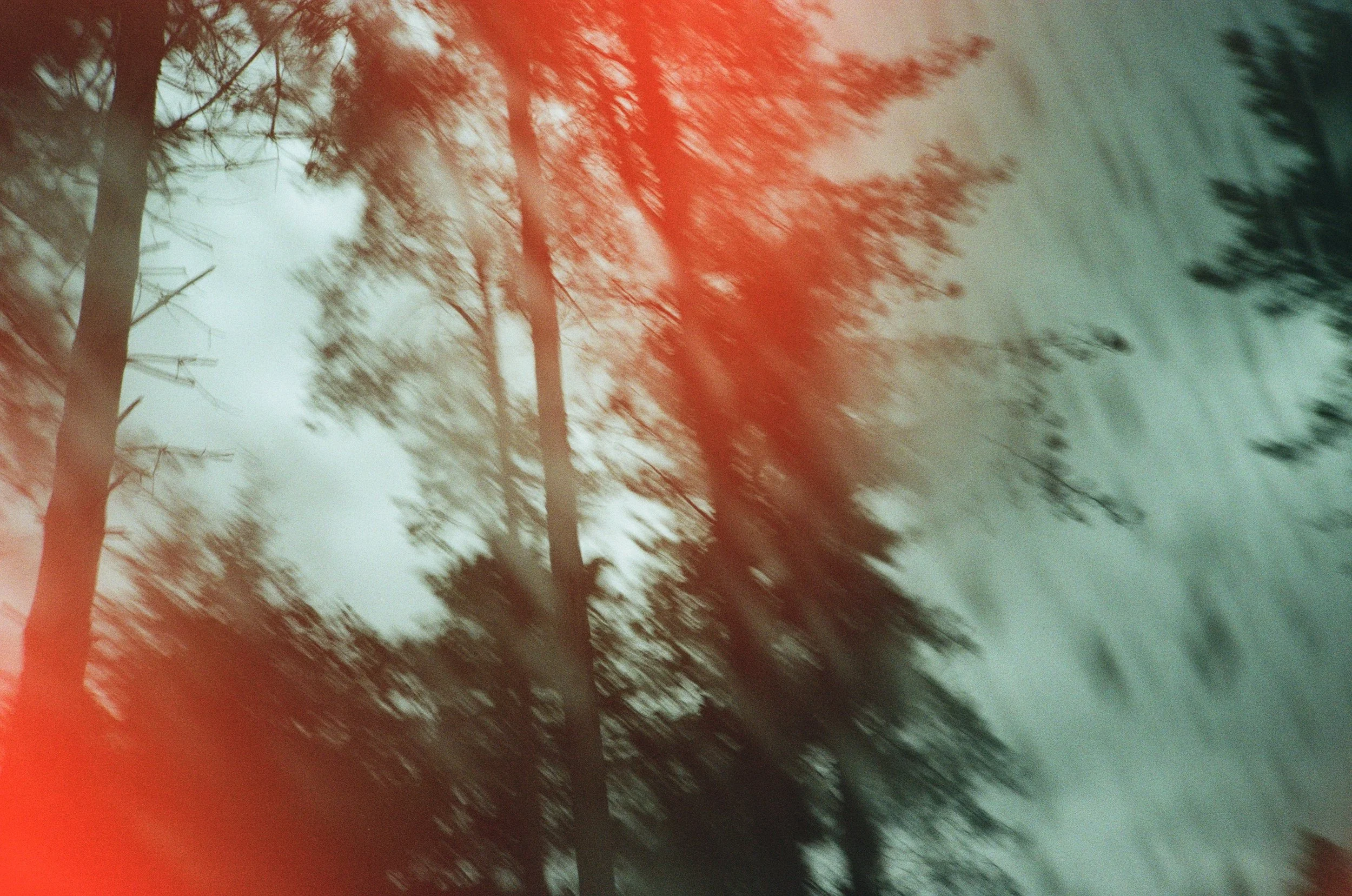 Ward 18886_00004927_0000492700321644960643887.jpg