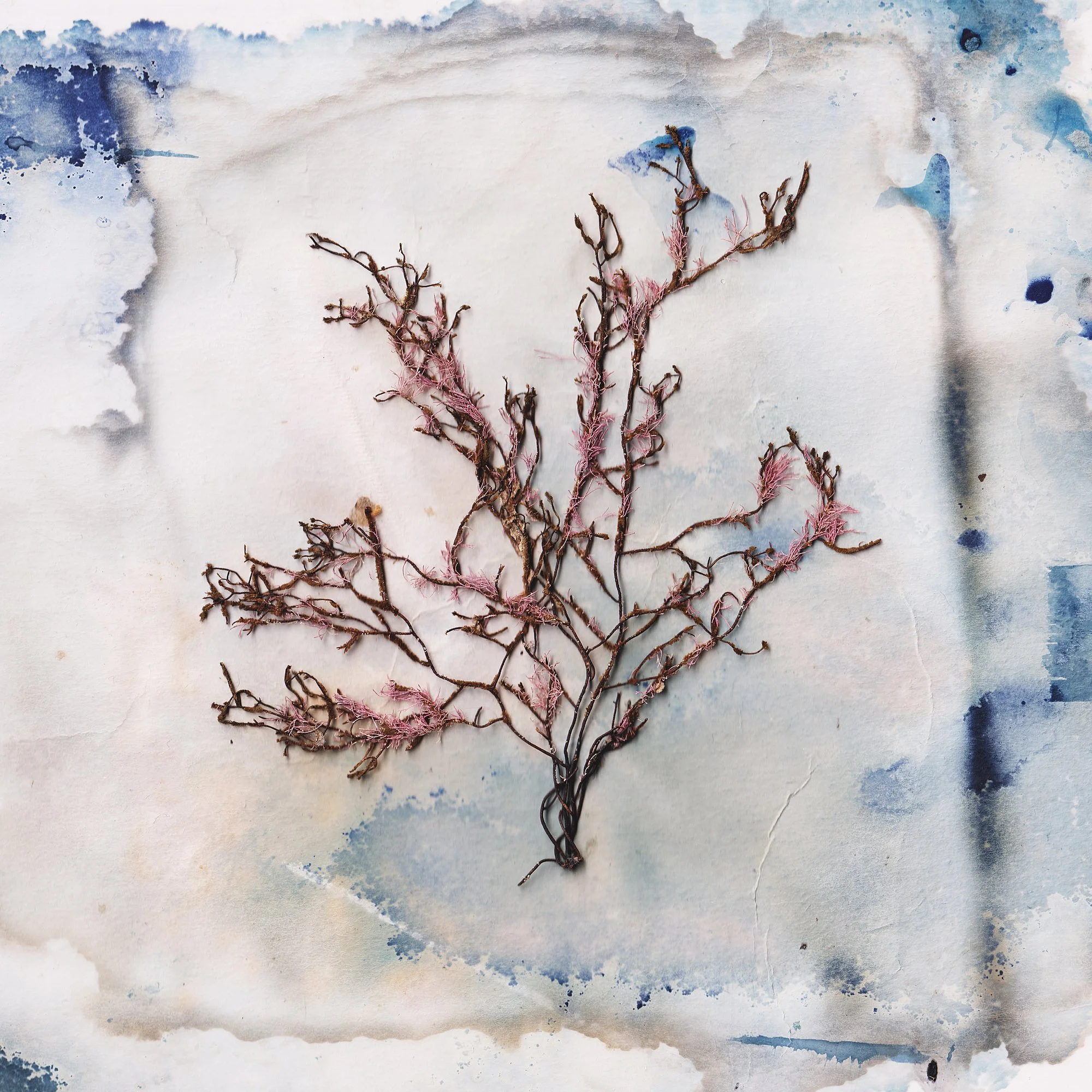 2023-01-22 20.55.23.jpg