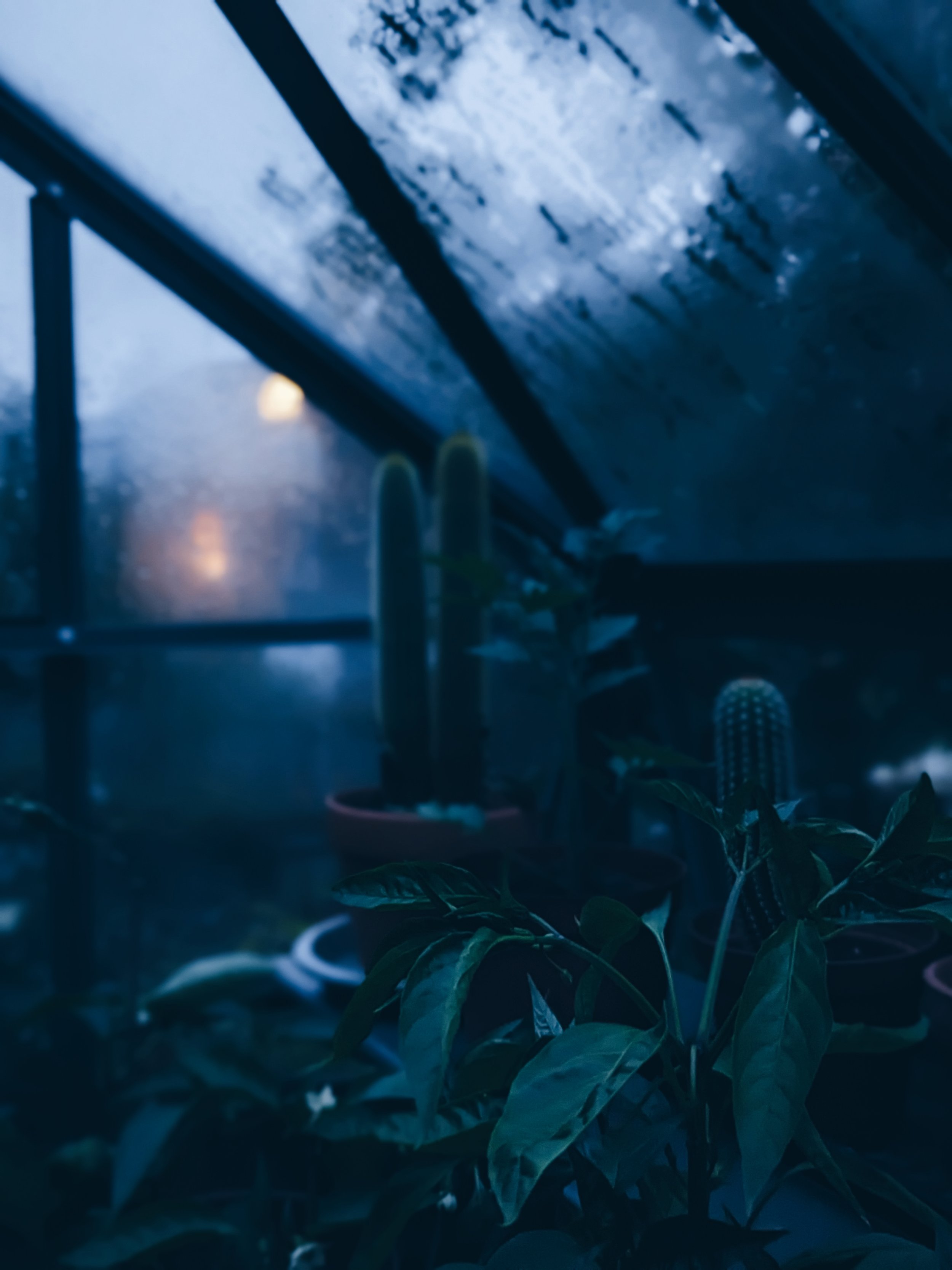 PXL_20230722_202401293.PORTRAIT (1).jpg