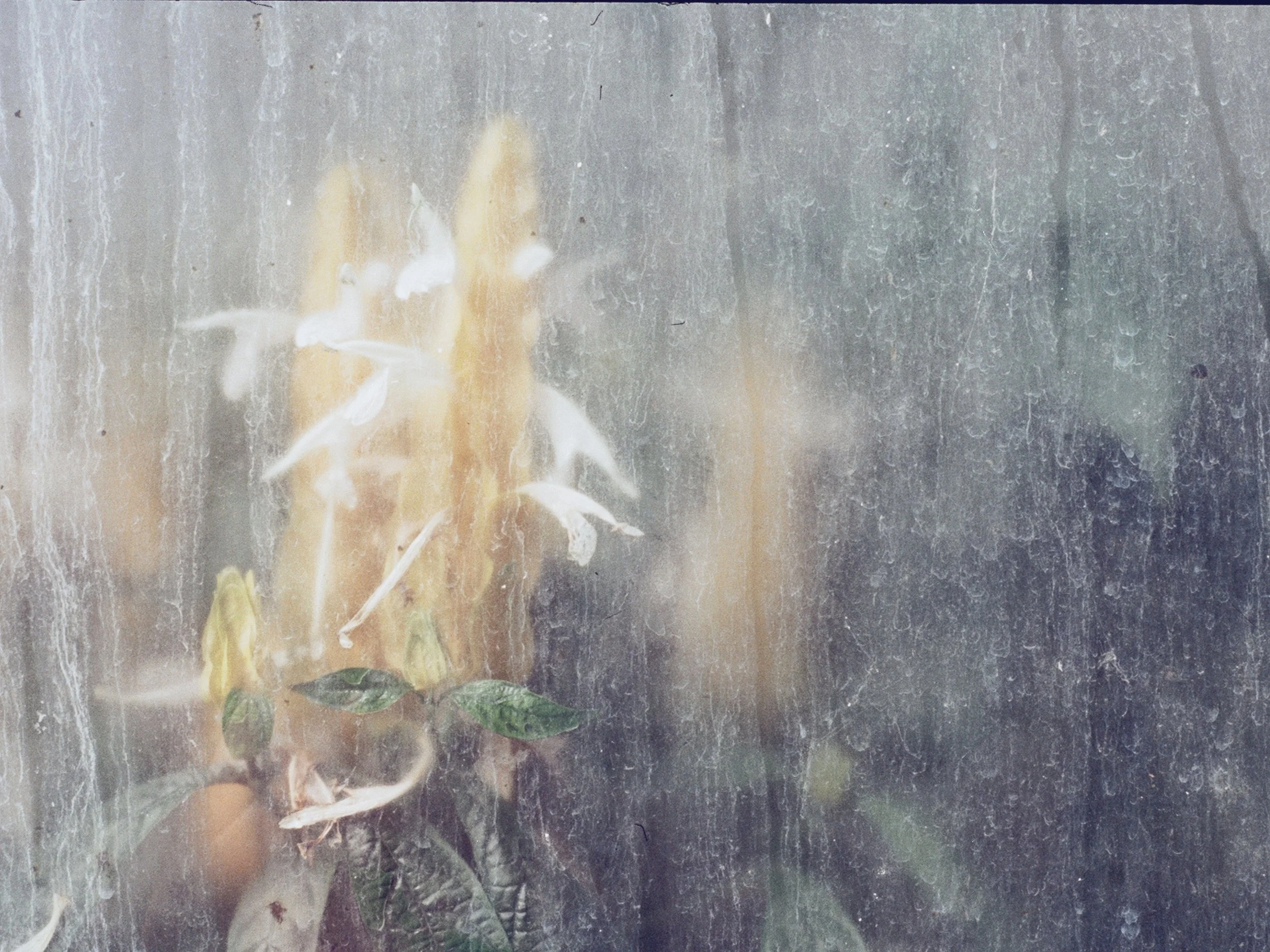 2023-07-23 08.20.38.jpg