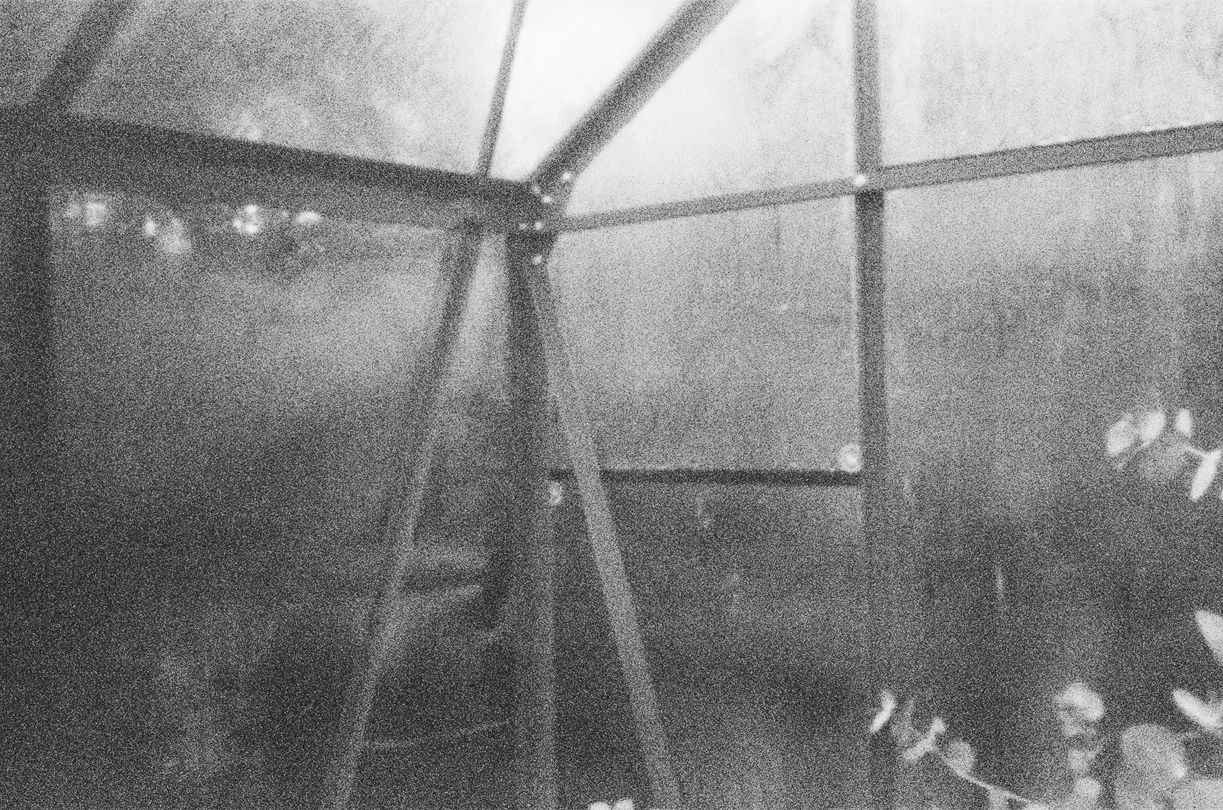  Greenhouse in autumn, pinhole.  