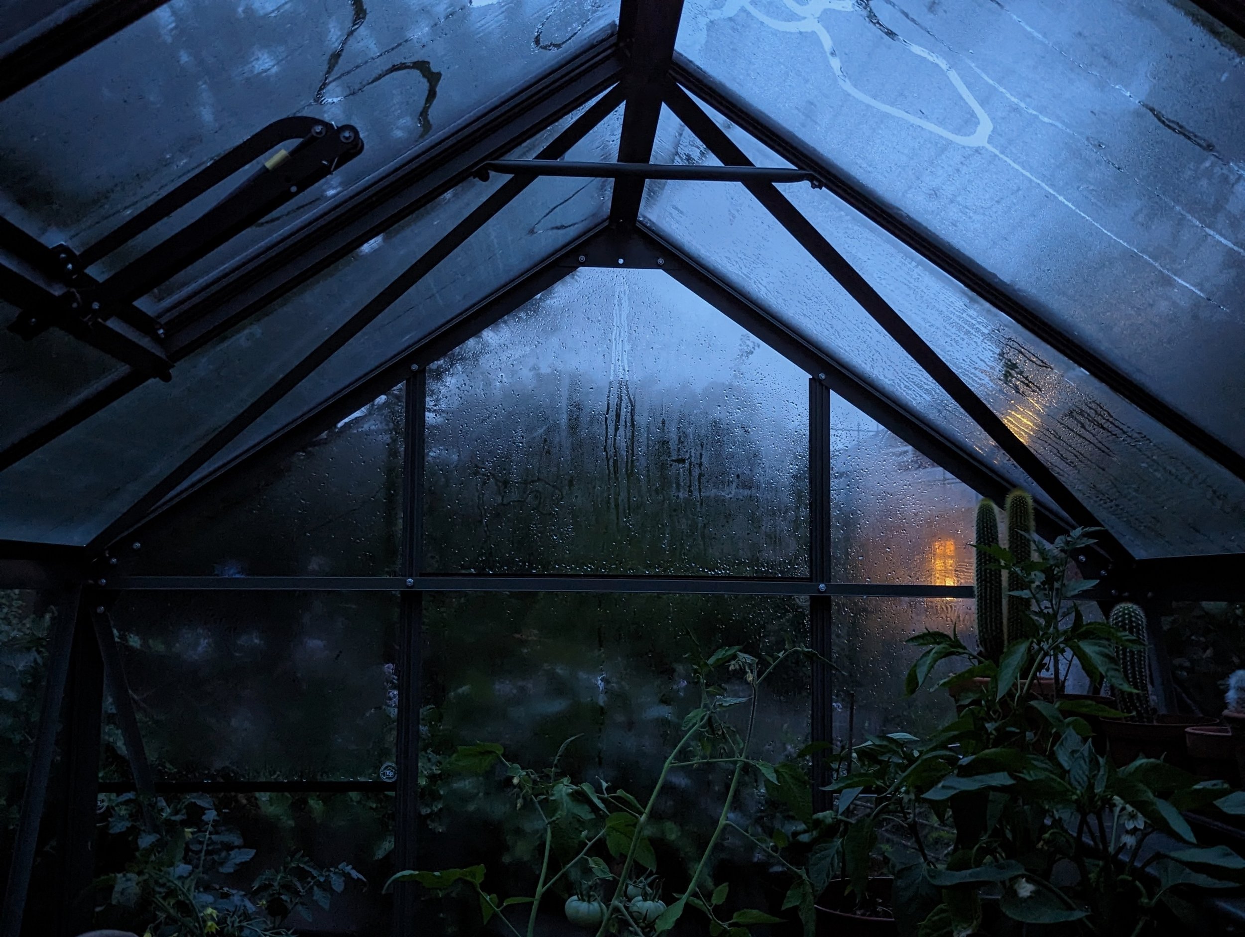  Greenhouse, summer.  