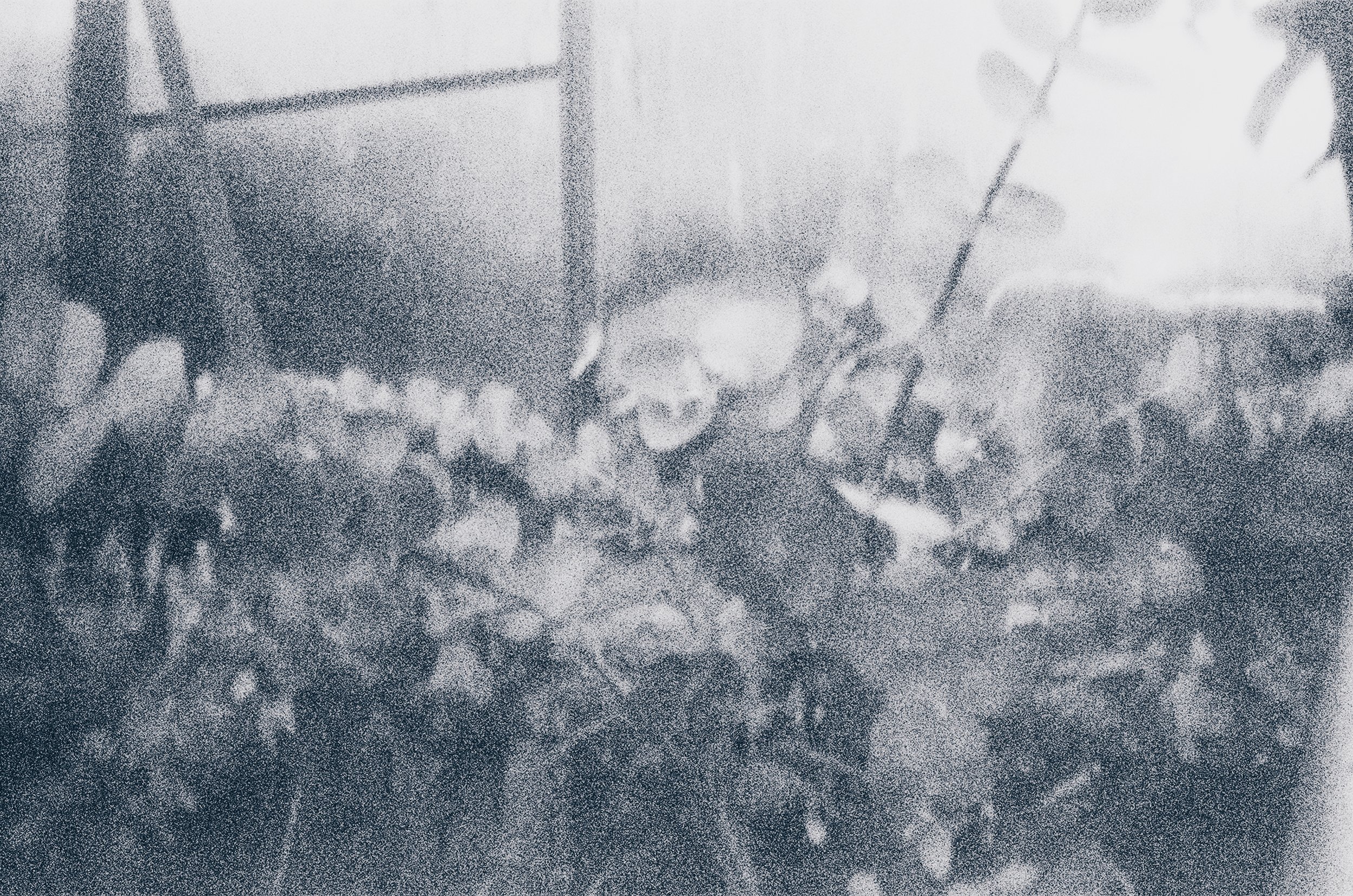 000053100019 (1).jpg