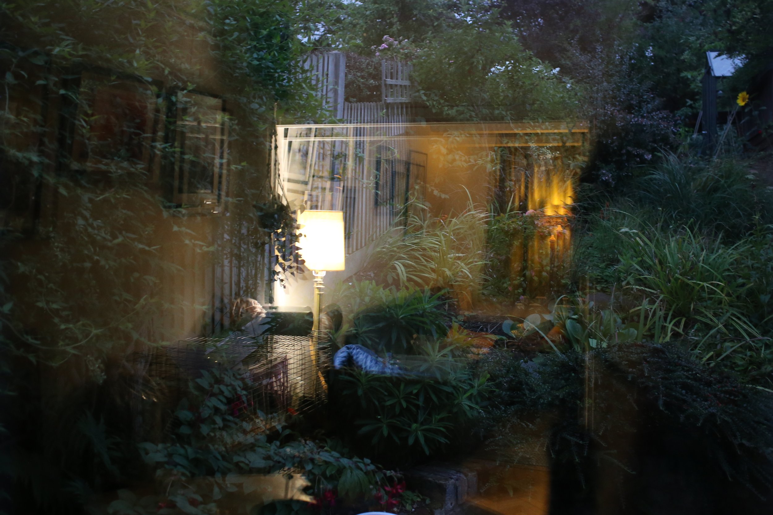 2023-08-27 20.45.27.JPG