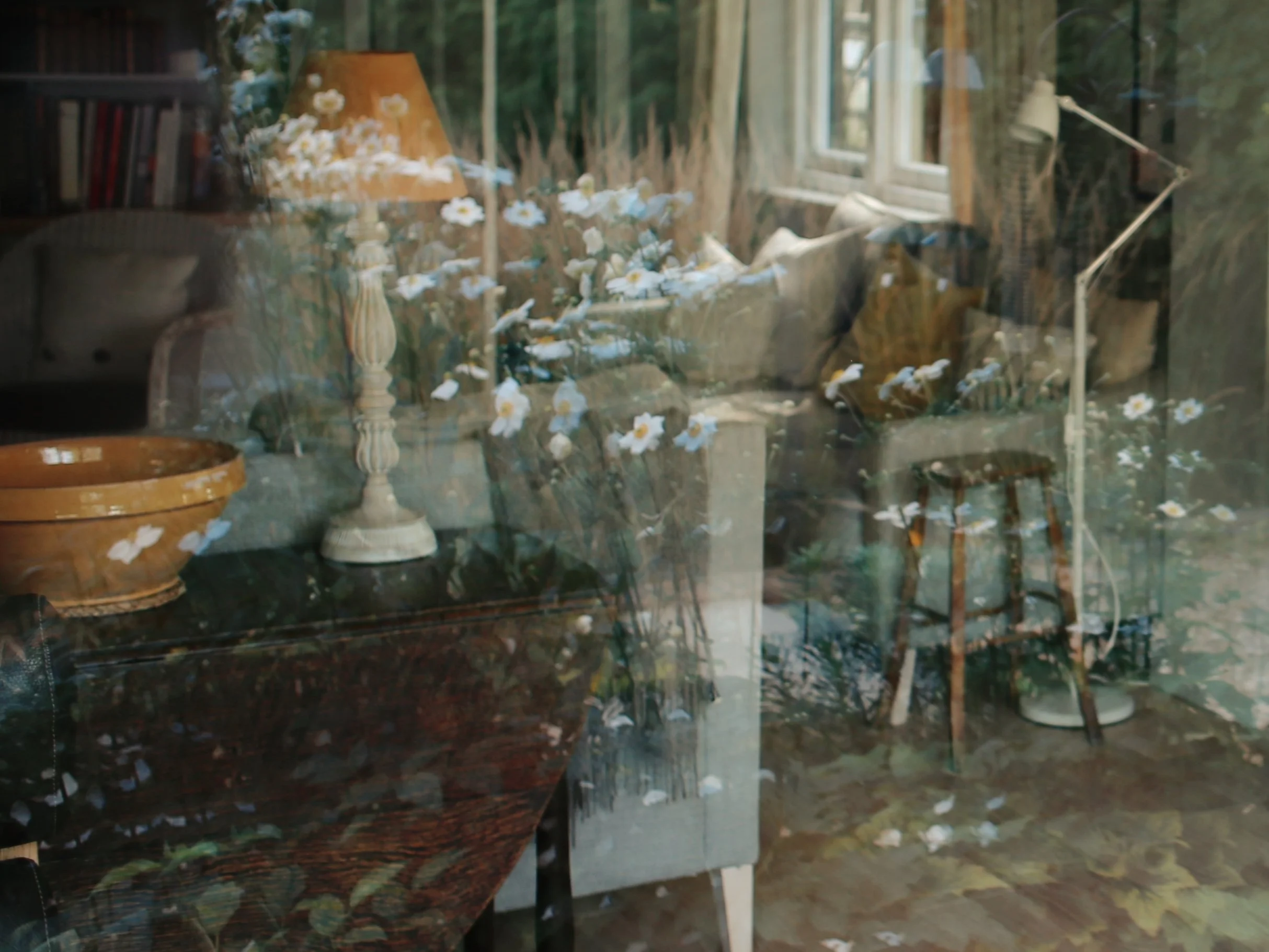 2023-10-15 19.43.59-1.JPG