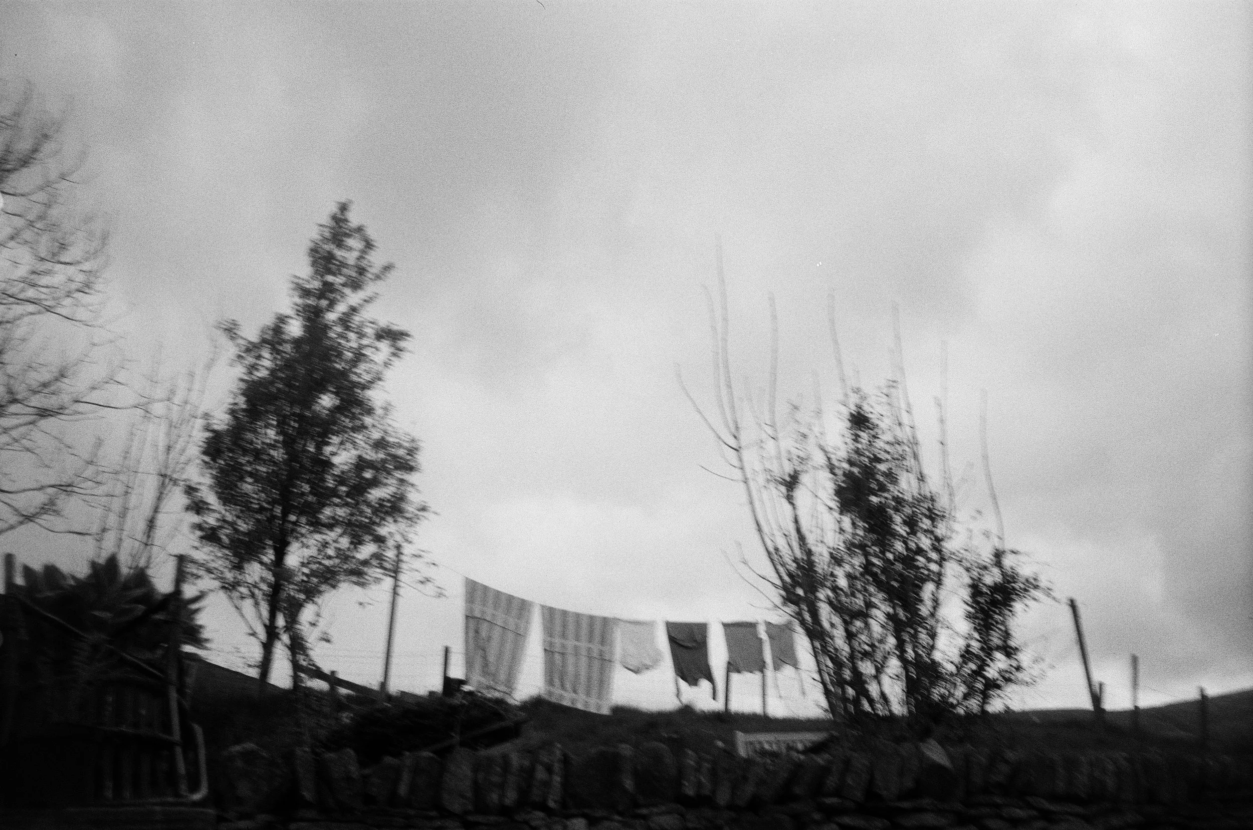 Ward BW 26278_00000723_0000072300081658221207769.jpg