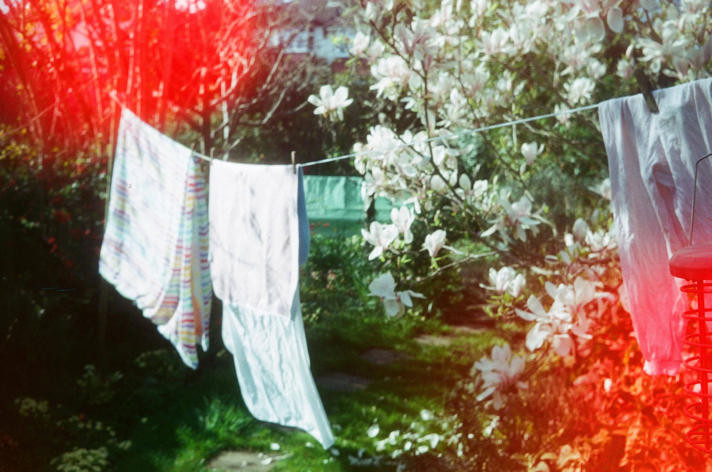 Ward 26278 C41_00001061_0000106100161657732574496.jpg