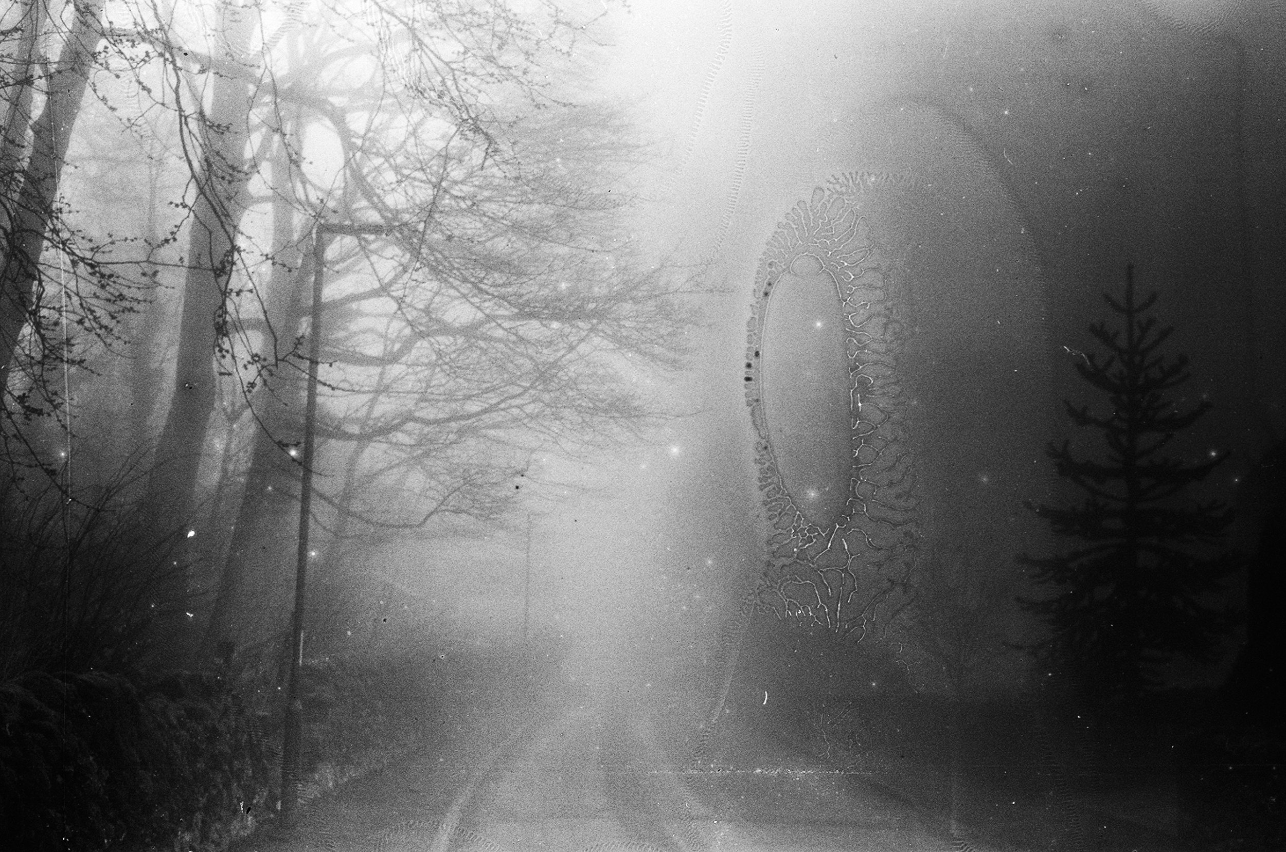  I don’t think I walked far that morning. I remember the dog walker, and a curtain milk cart driving past.  