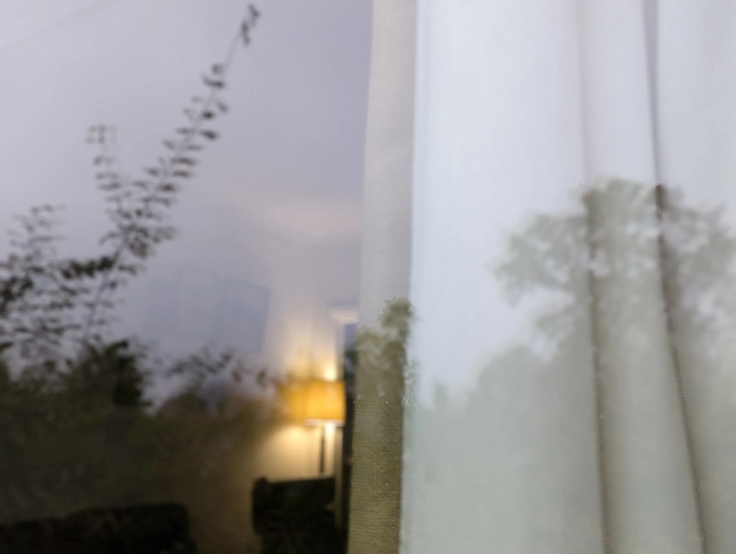 2024-11-08 08.34.24.jpg