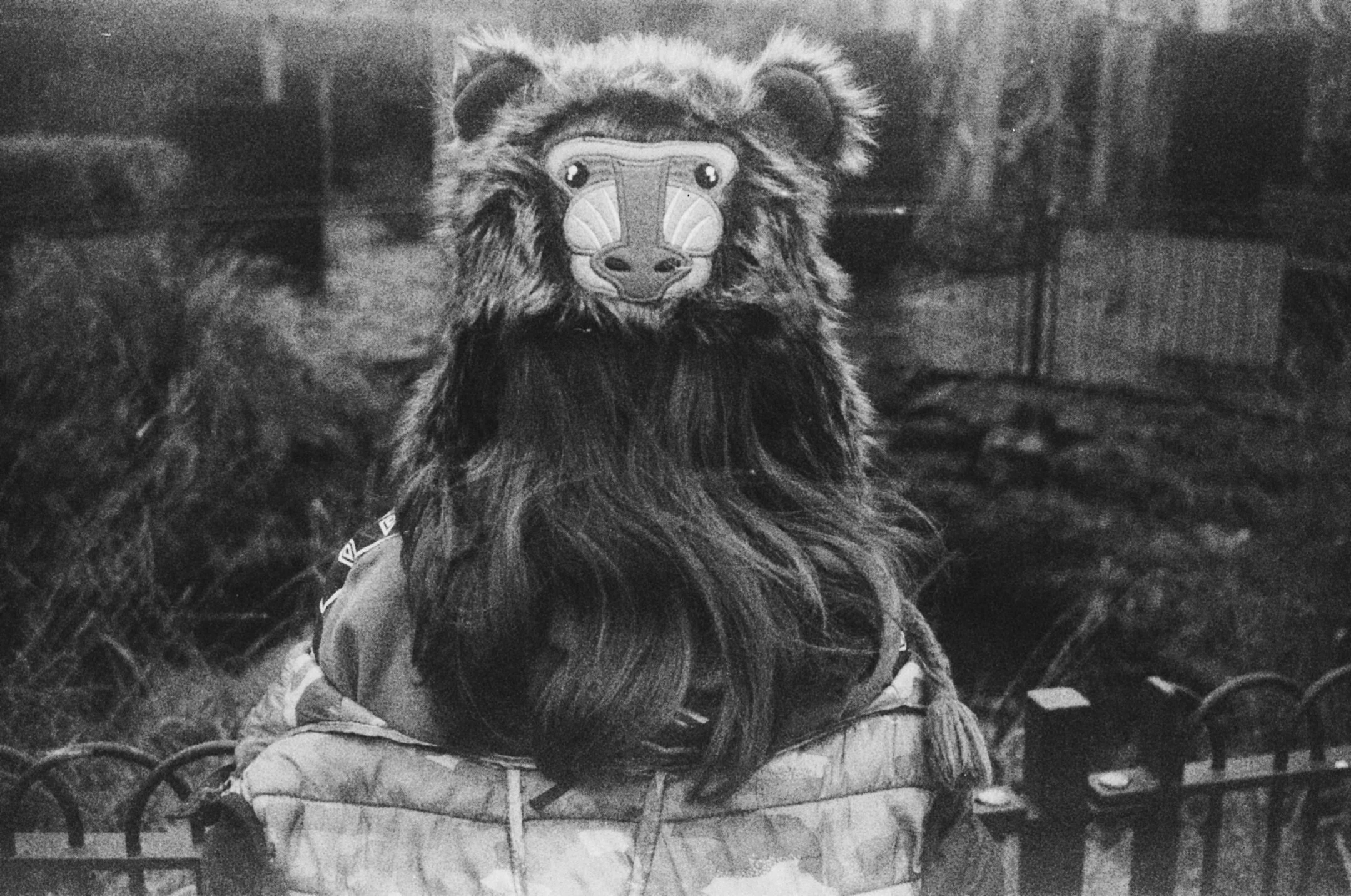 000082800021 (1).jpg