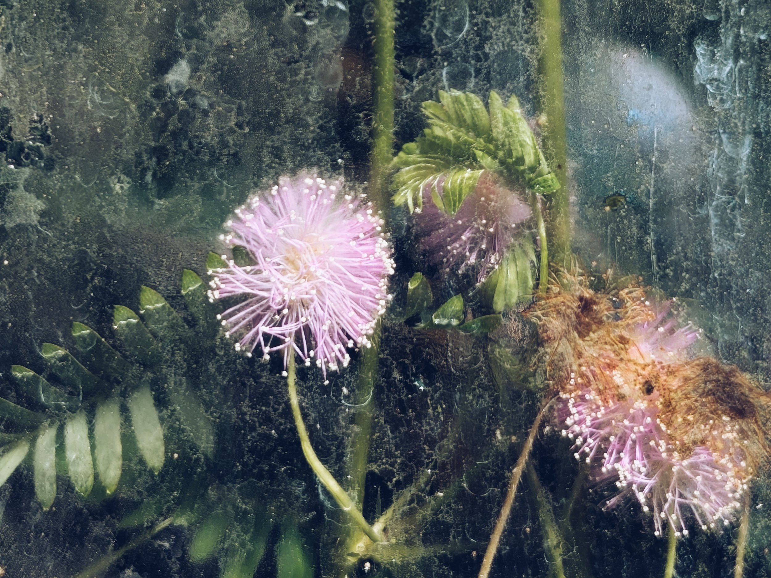 2025-06-02 13.52.25-1.jpg