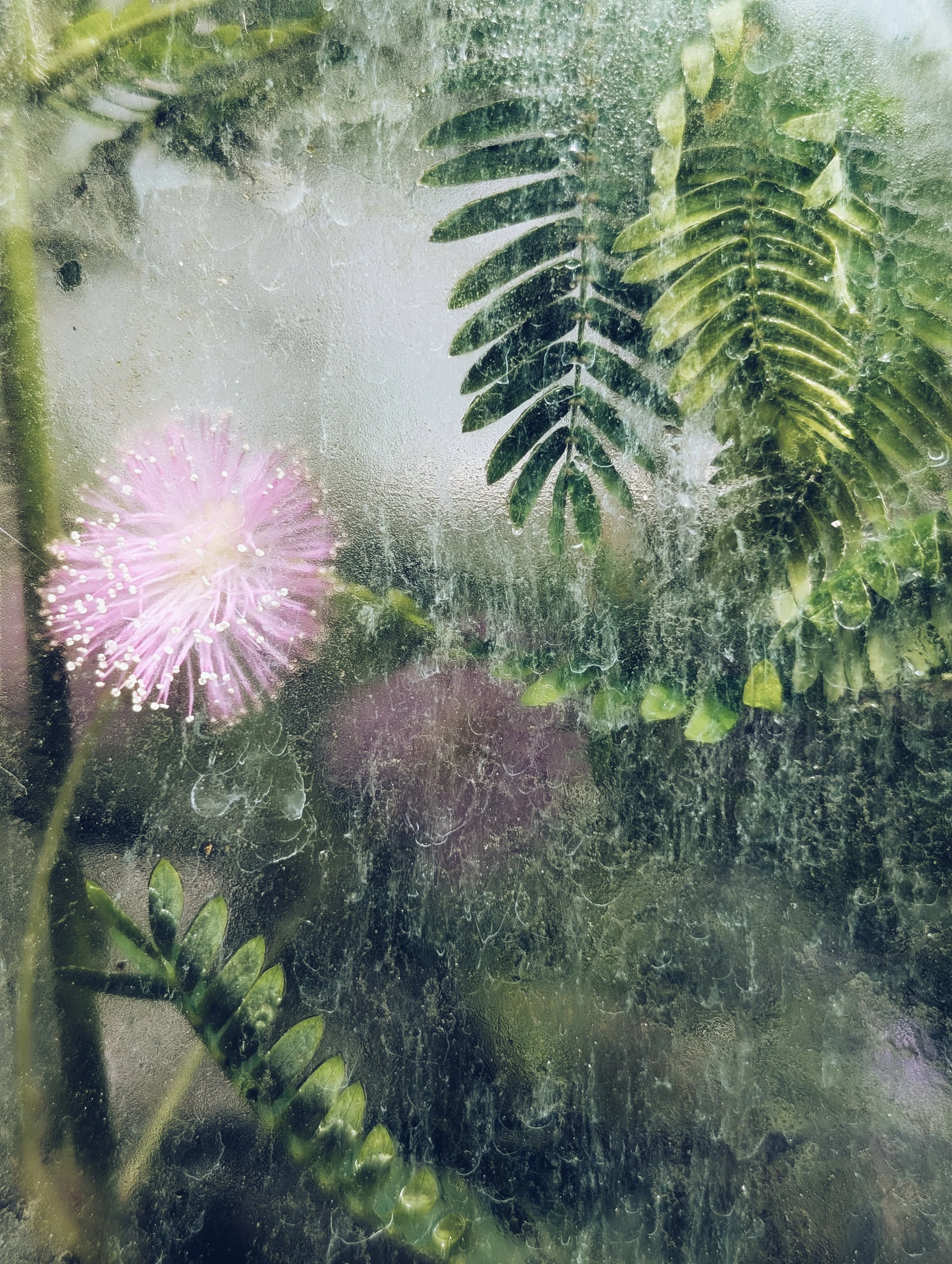 2025-06-02 13.52.55-1.jpg