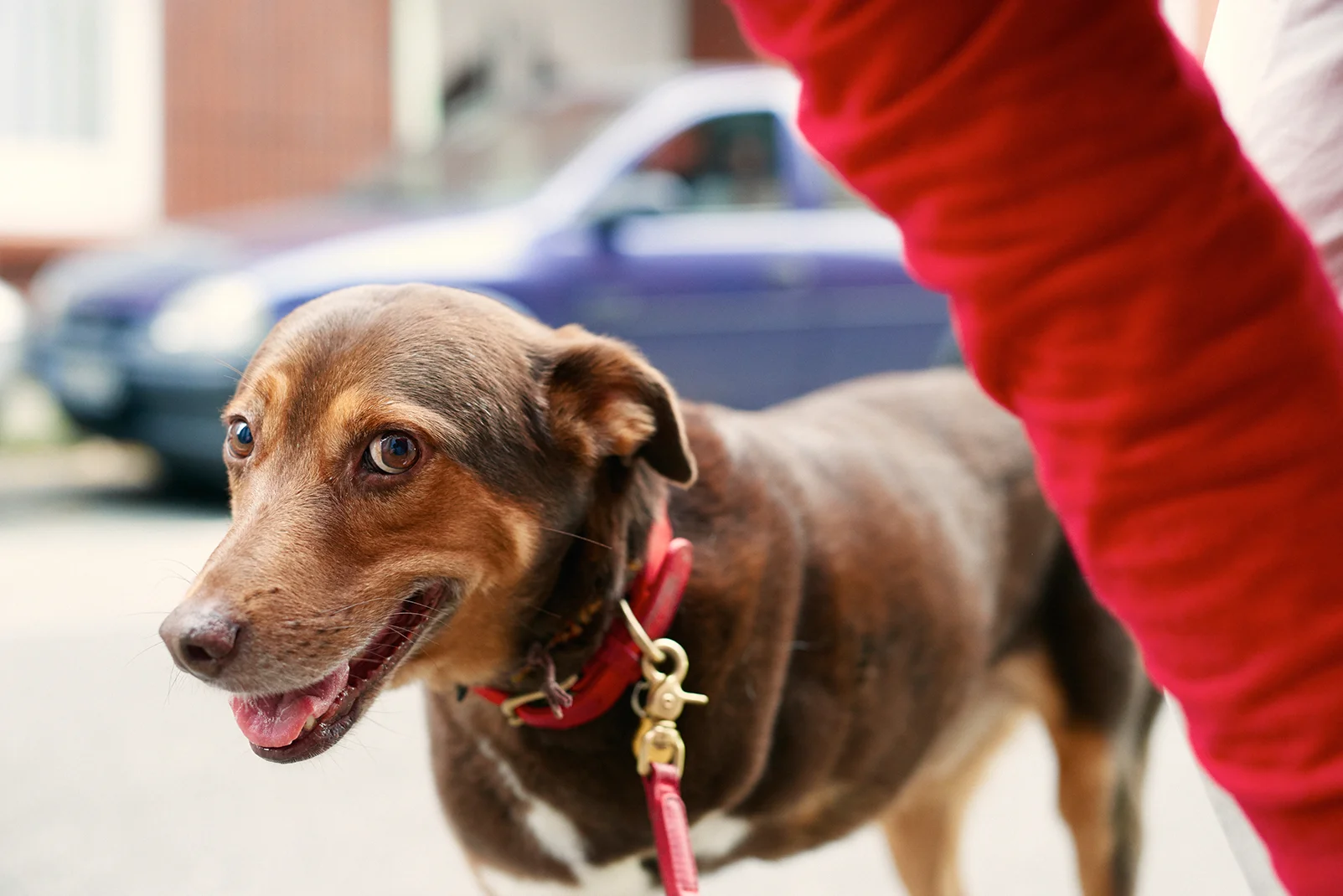 21_PetShop_10_15__DSC8736klein.jpg