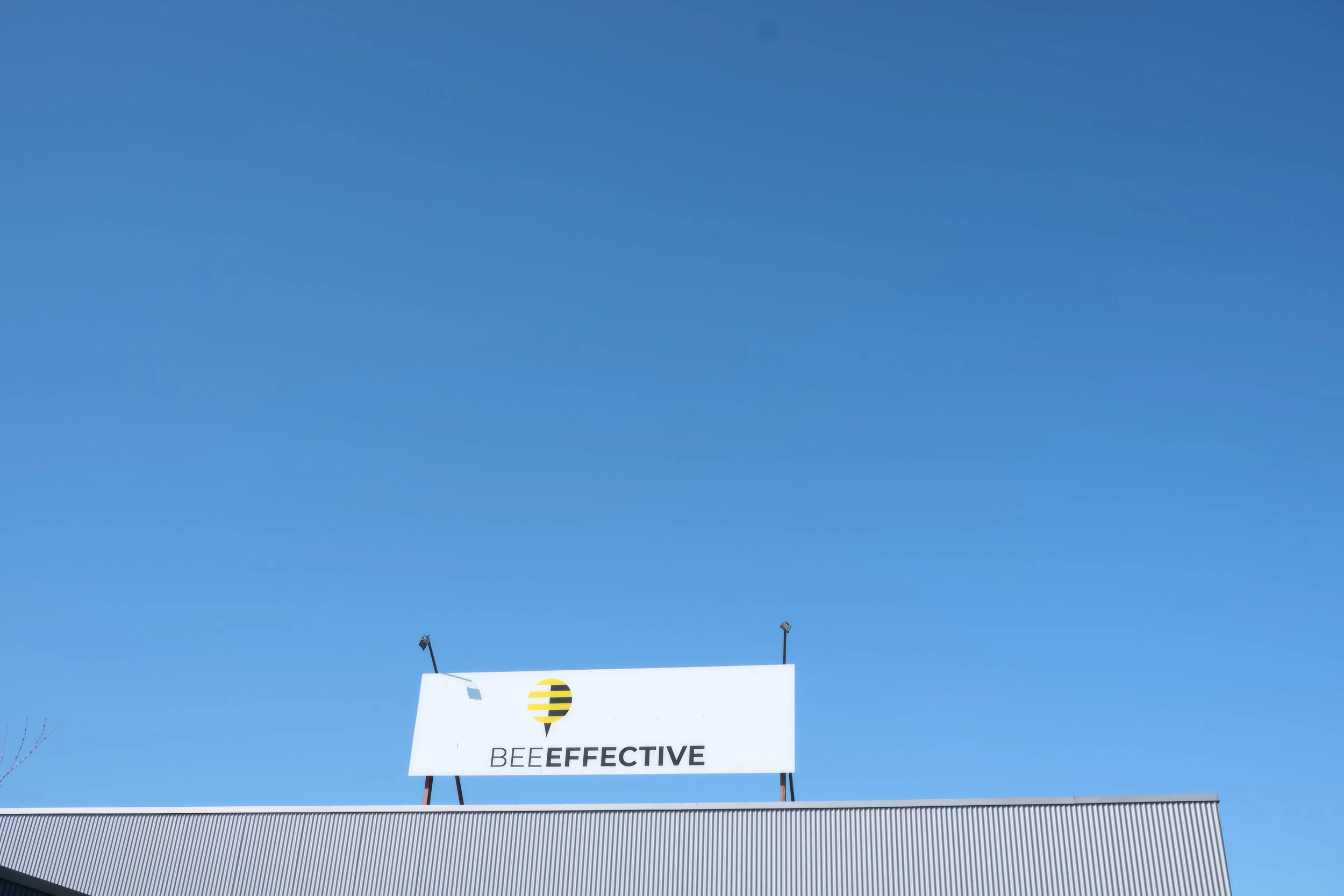 208_Location_beefective_C_Krahne_03_25.jpg